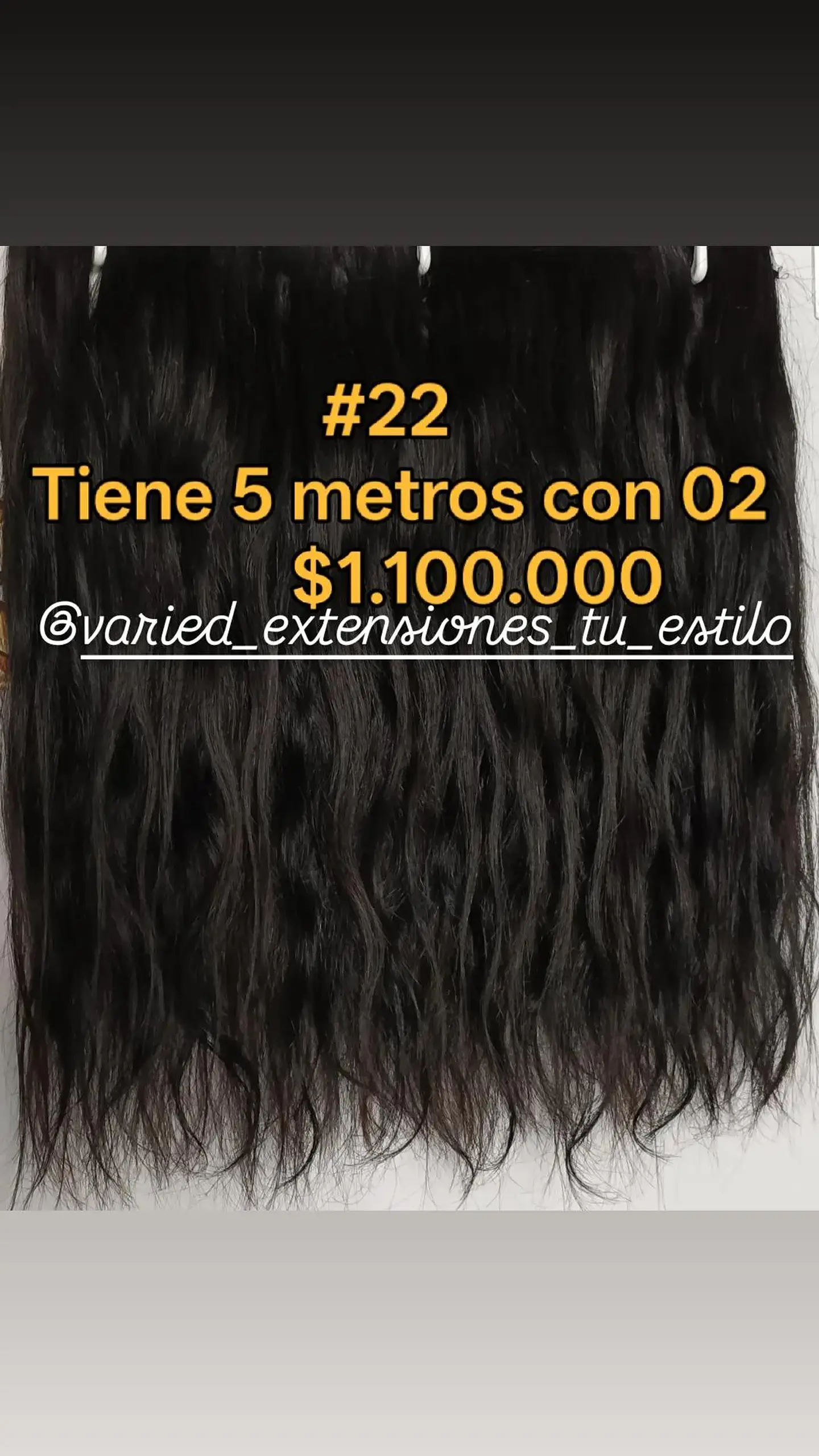 Extensión #22 1