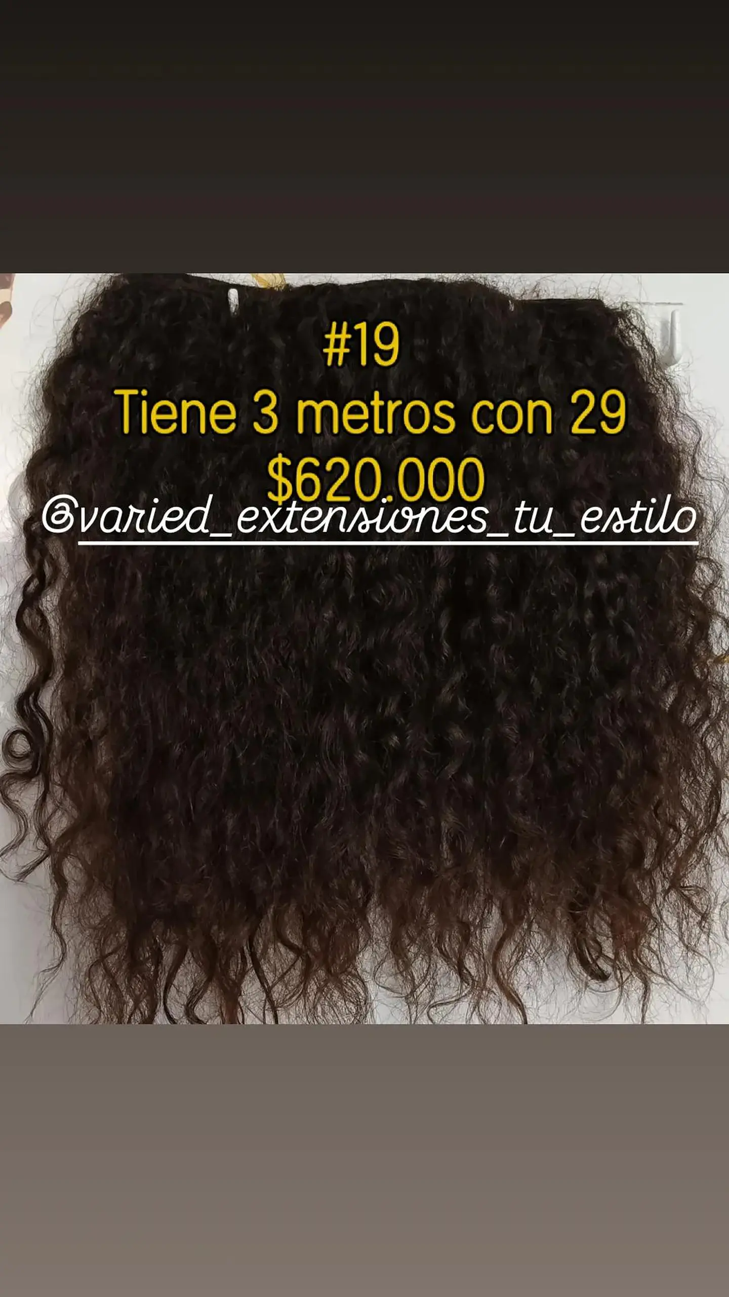 Extensión #19 1