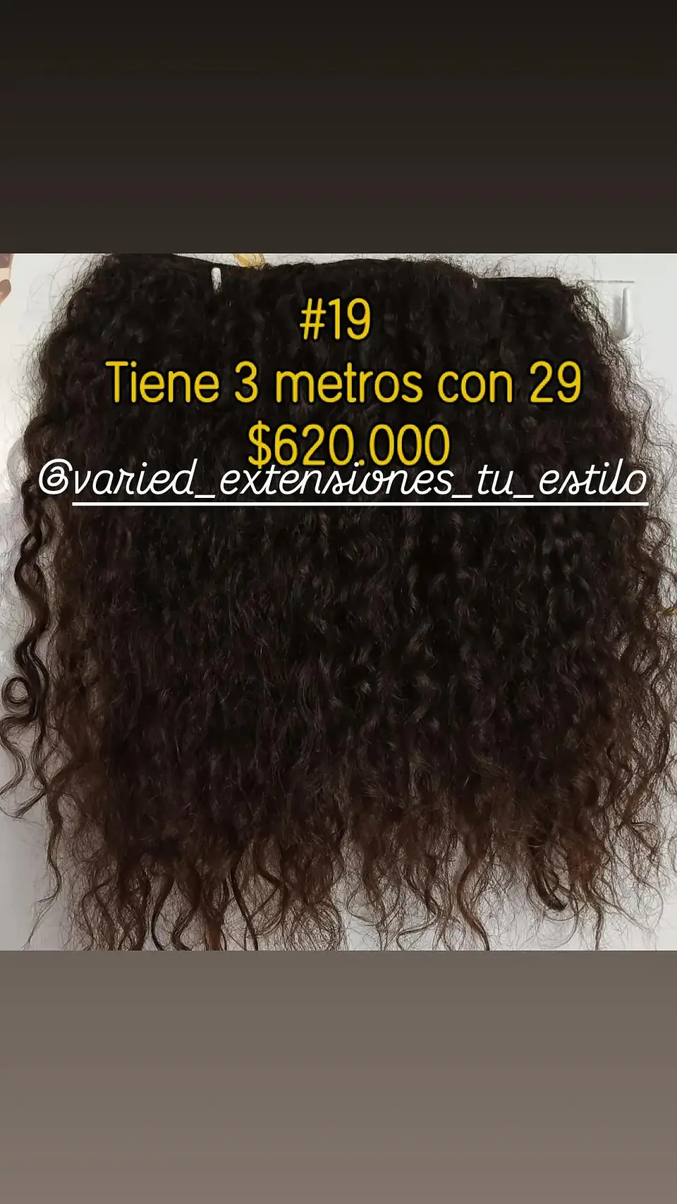 Extensión #19 1