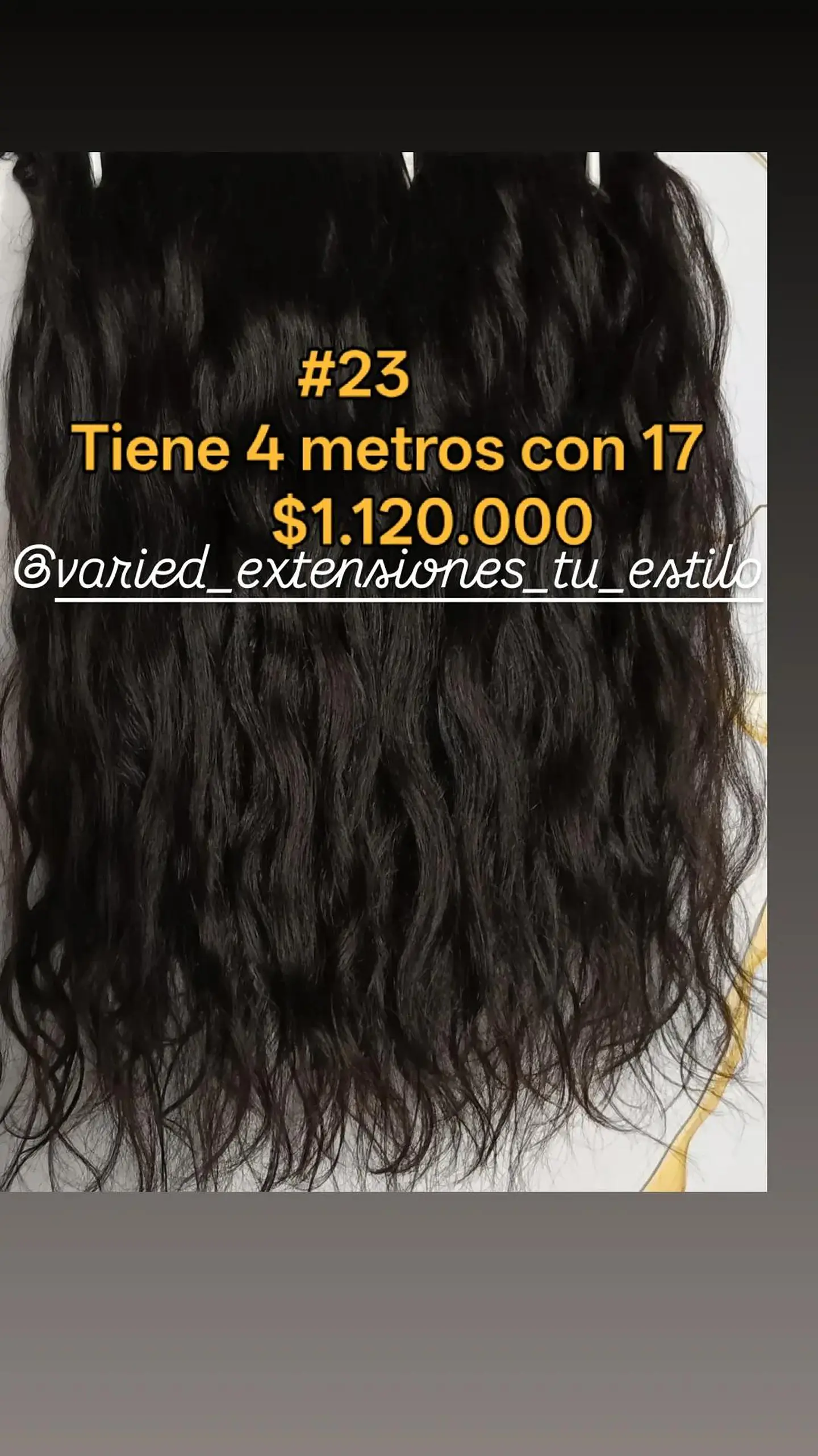 Extensión #23 1