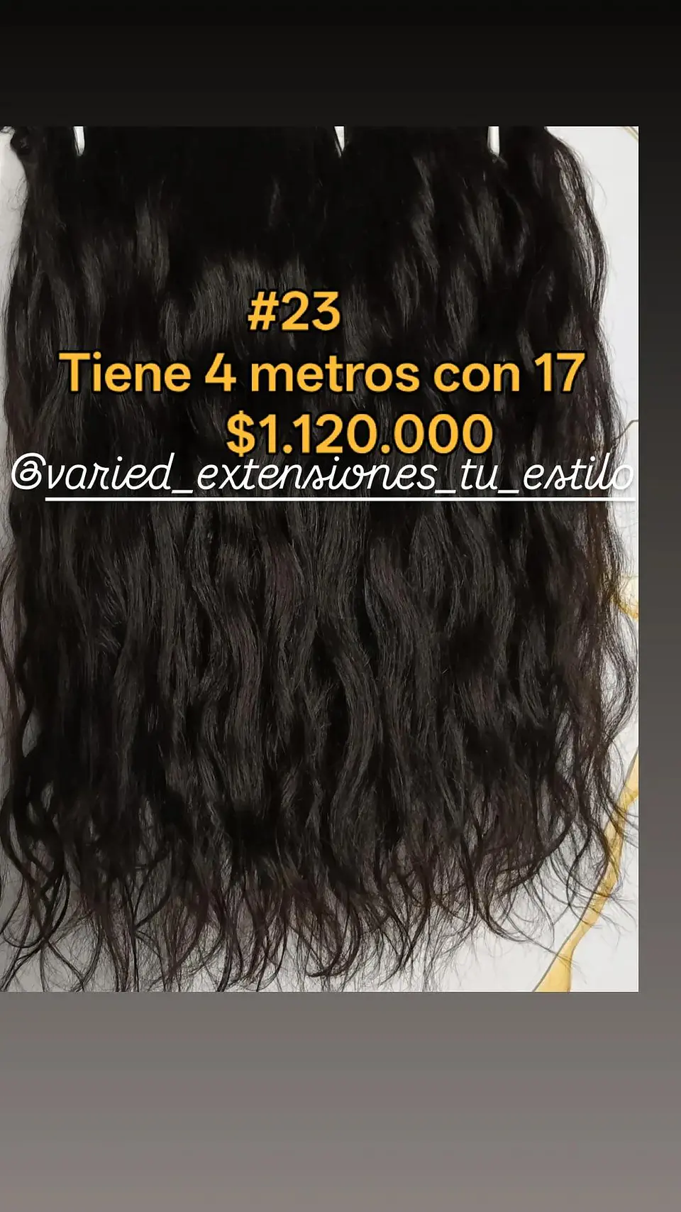Extensión #23 1