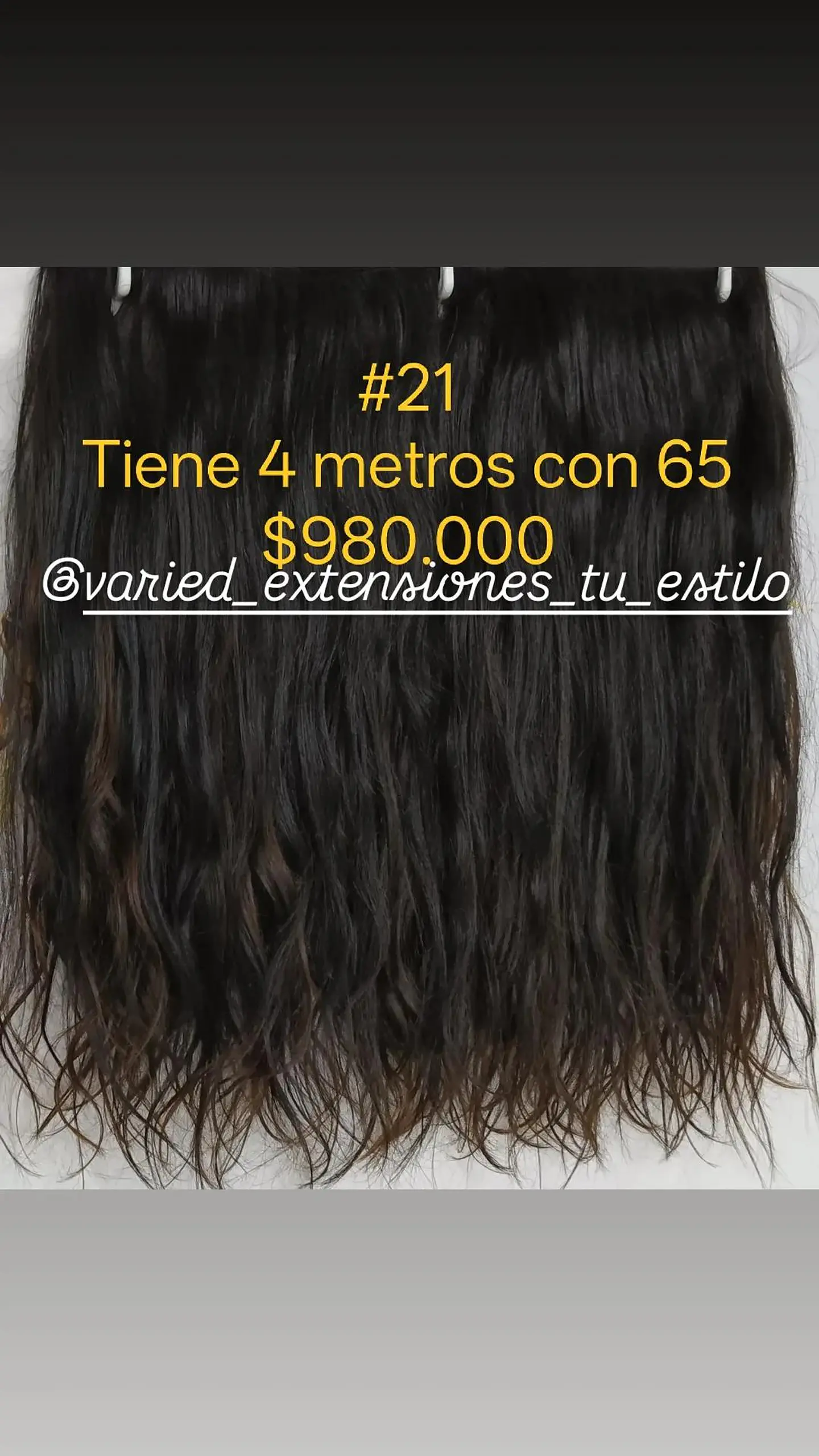 Extensión #21 1