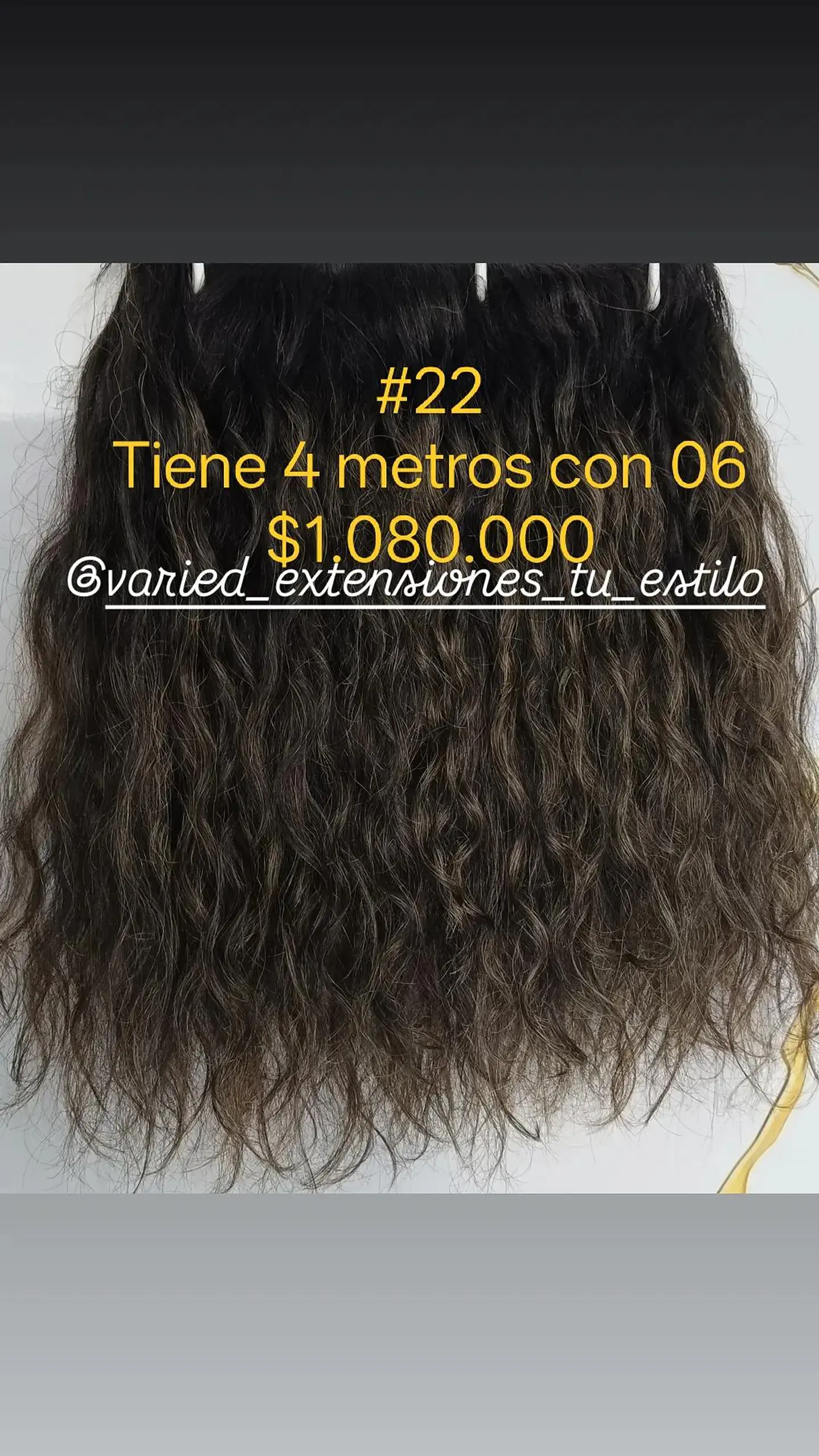 Extensión #22 1