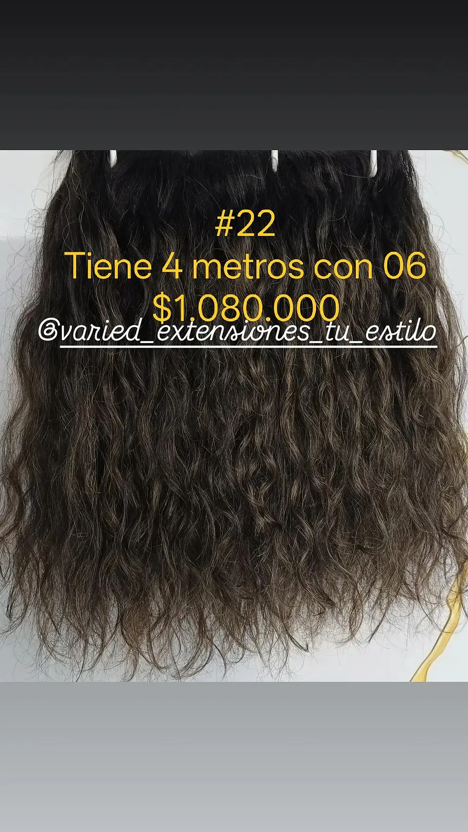 Extensión #22 1