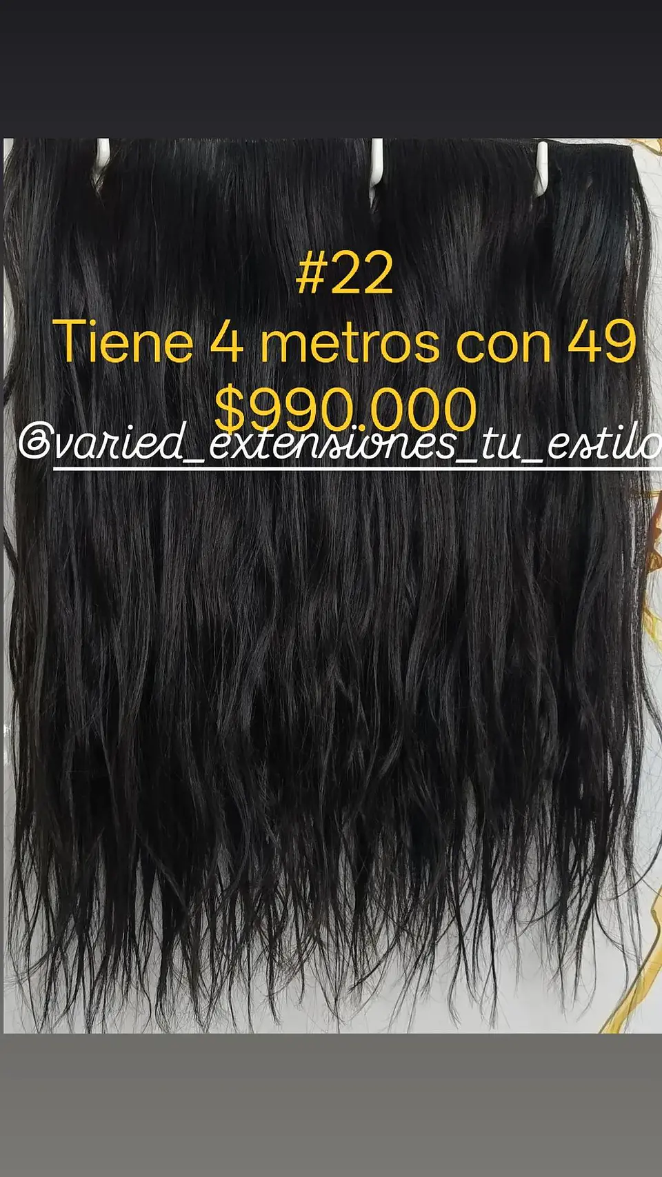 Extensión #22 1