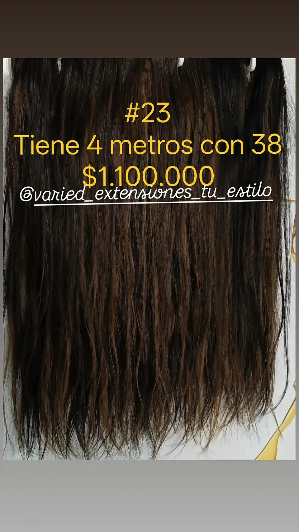 Extensión #23 1