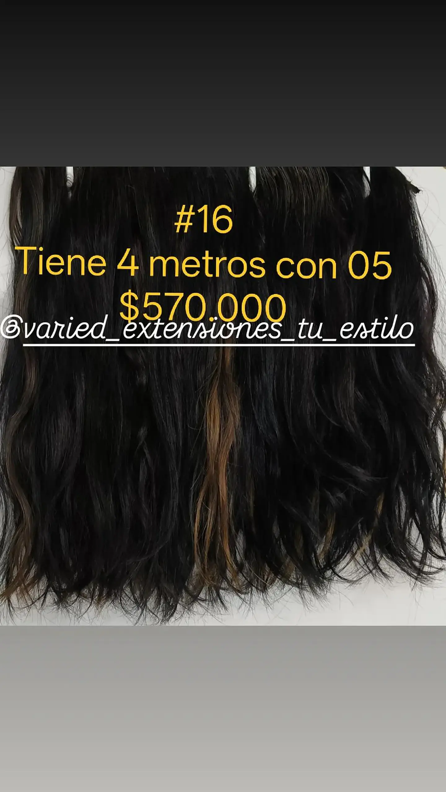Extensión #16 1