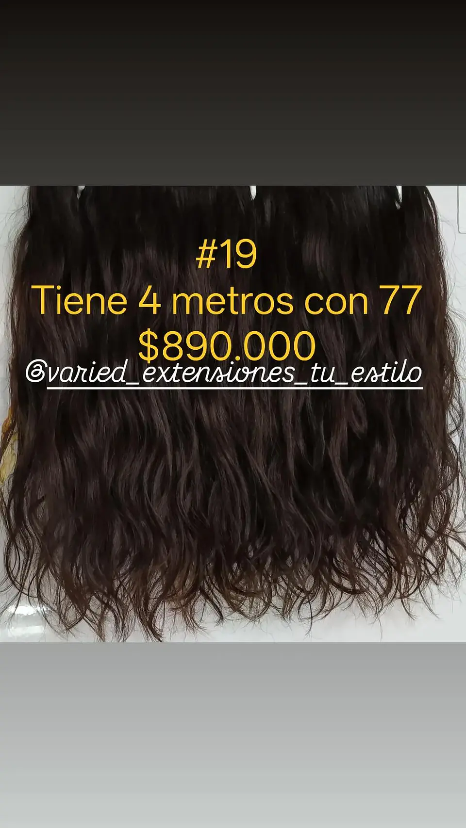 Extensión #19 1