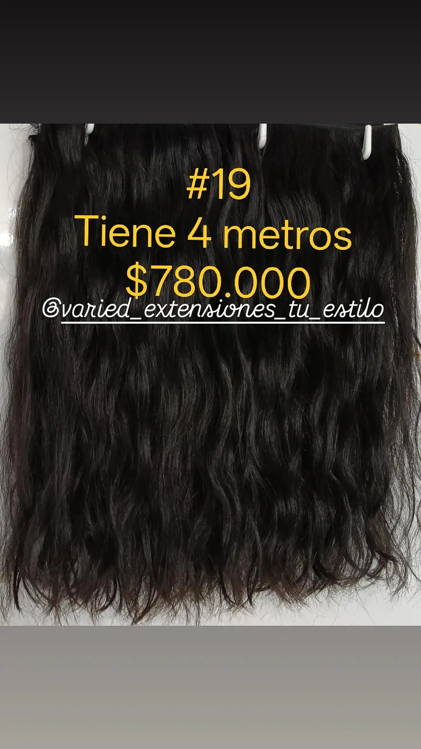 Extensión #19 1