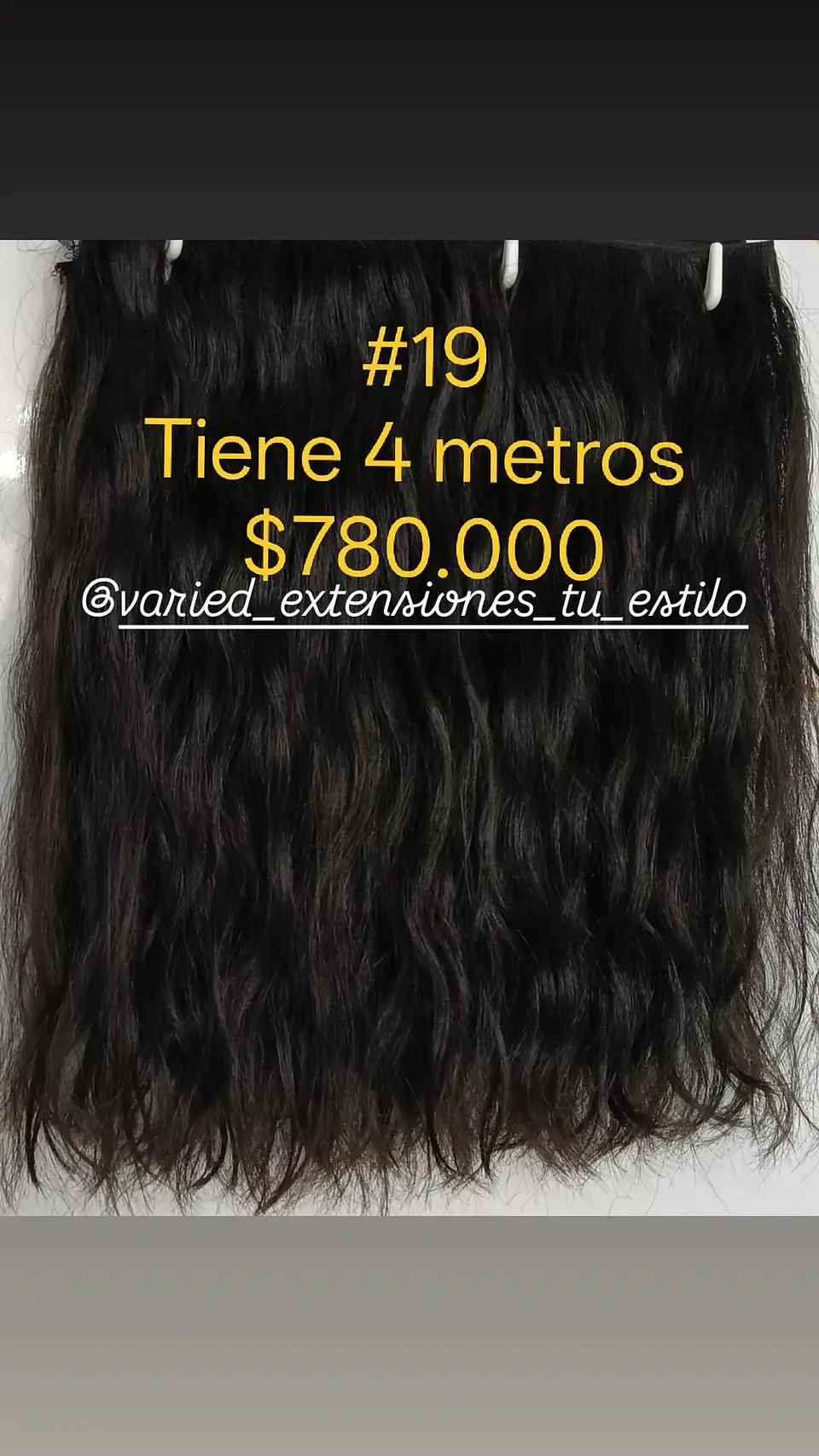 Extensión #19 1
