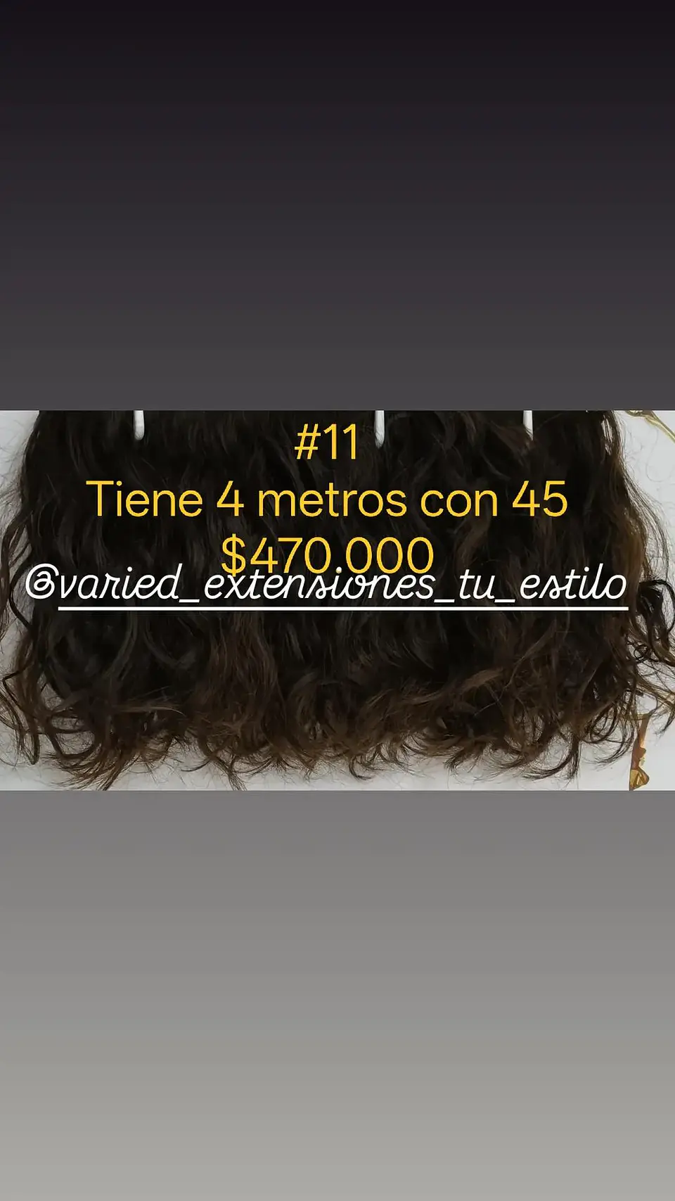 Extensión #11 1