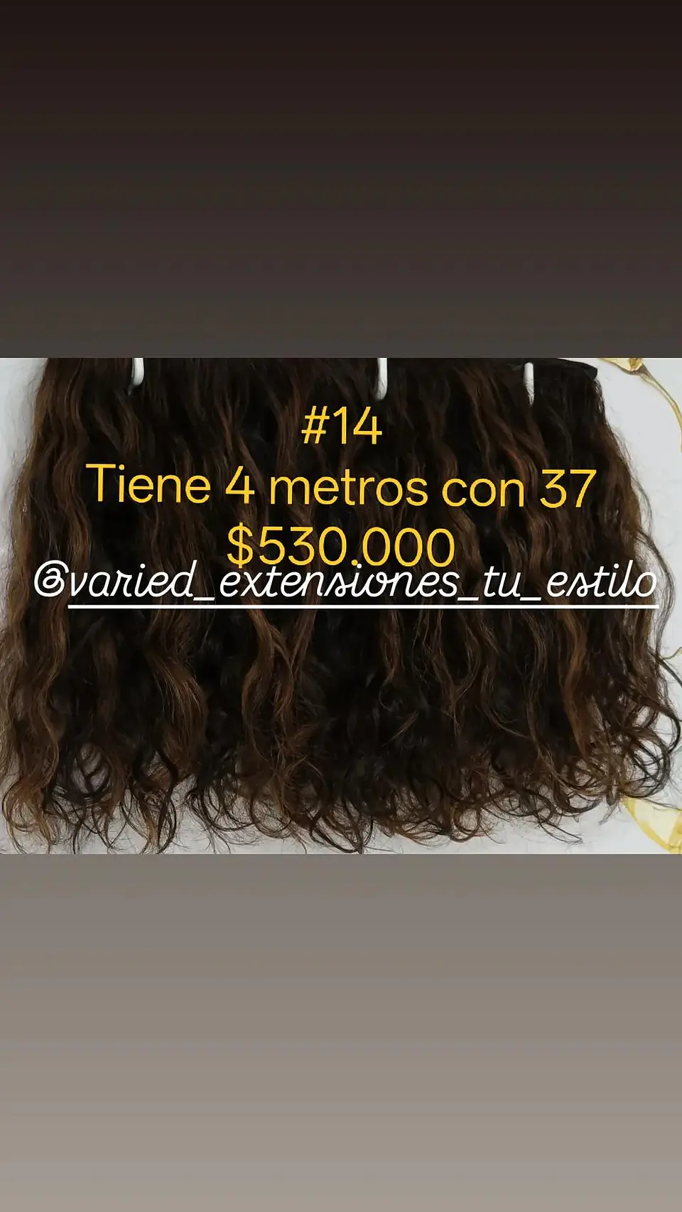 Extensión #14 1