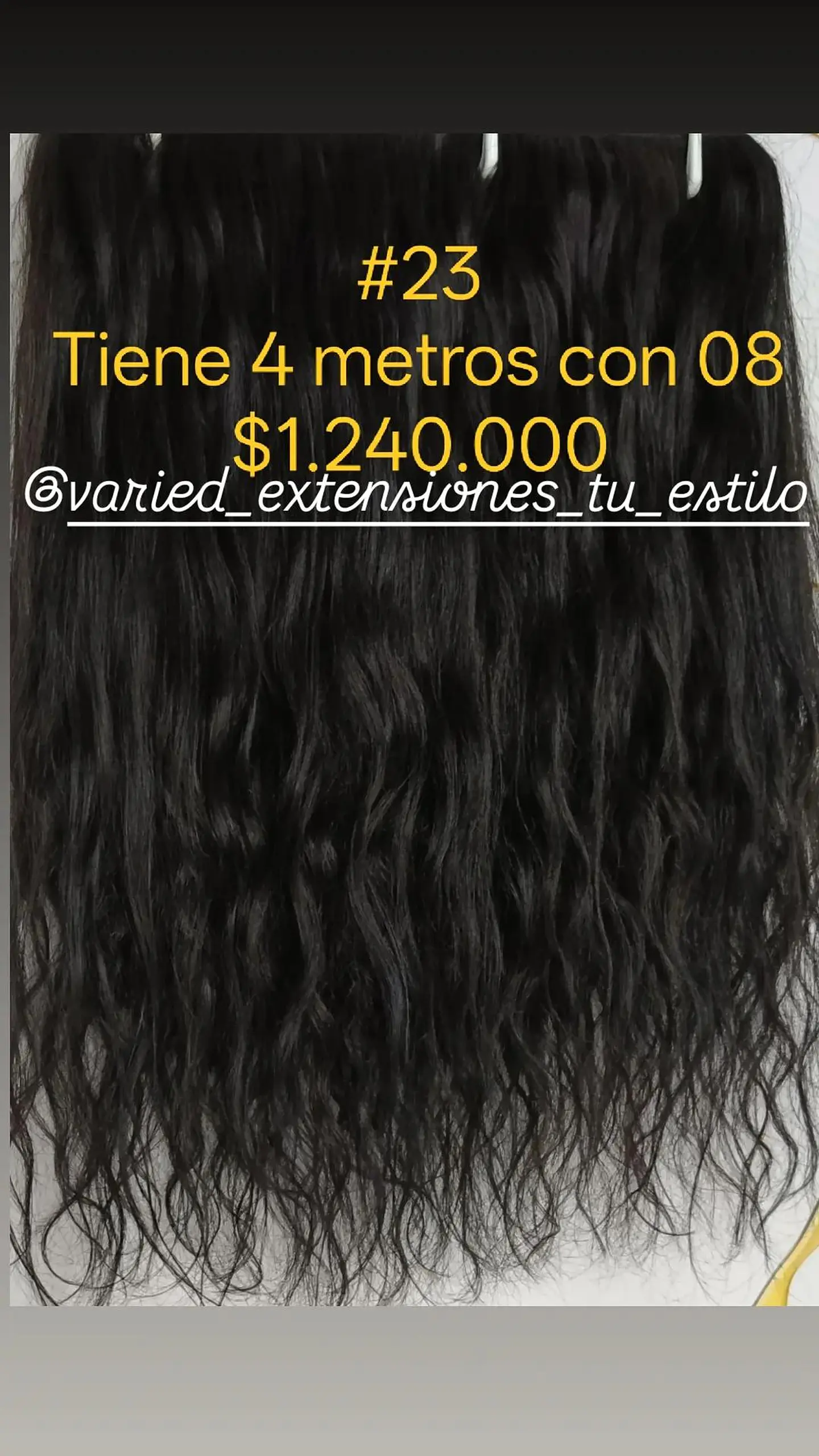 Extensión #23 1