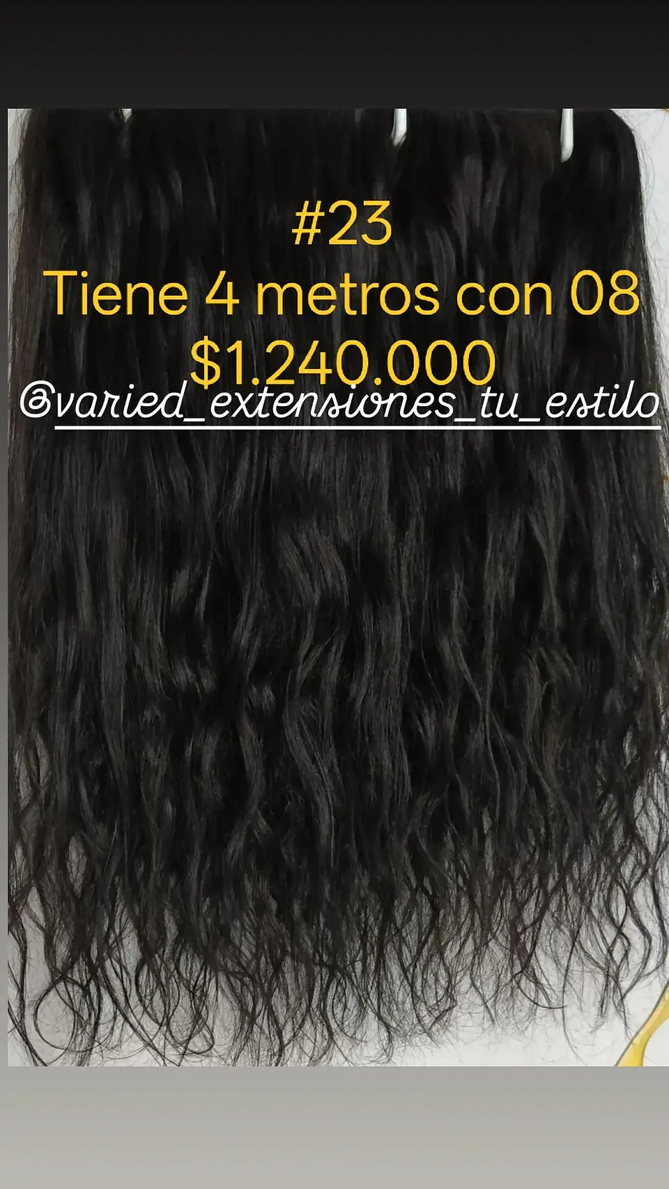 Extensión #23 1