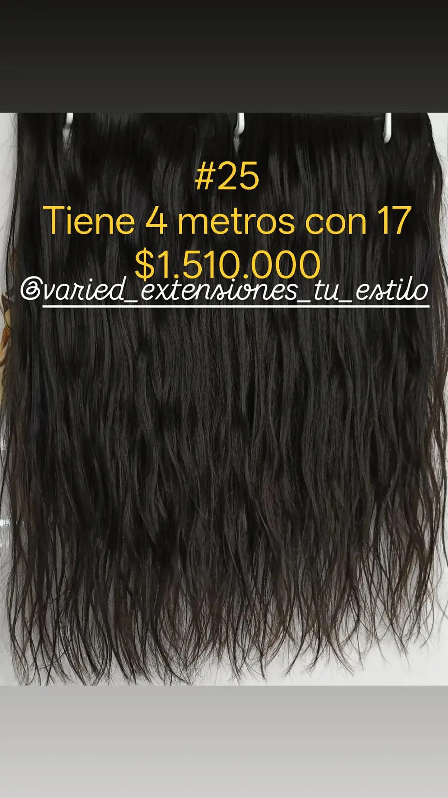 Extensión #25 1
