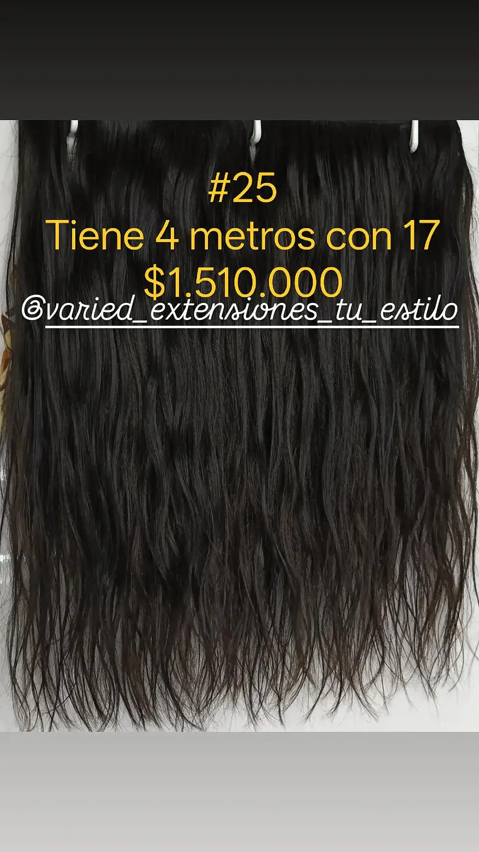 Extensión #25 1