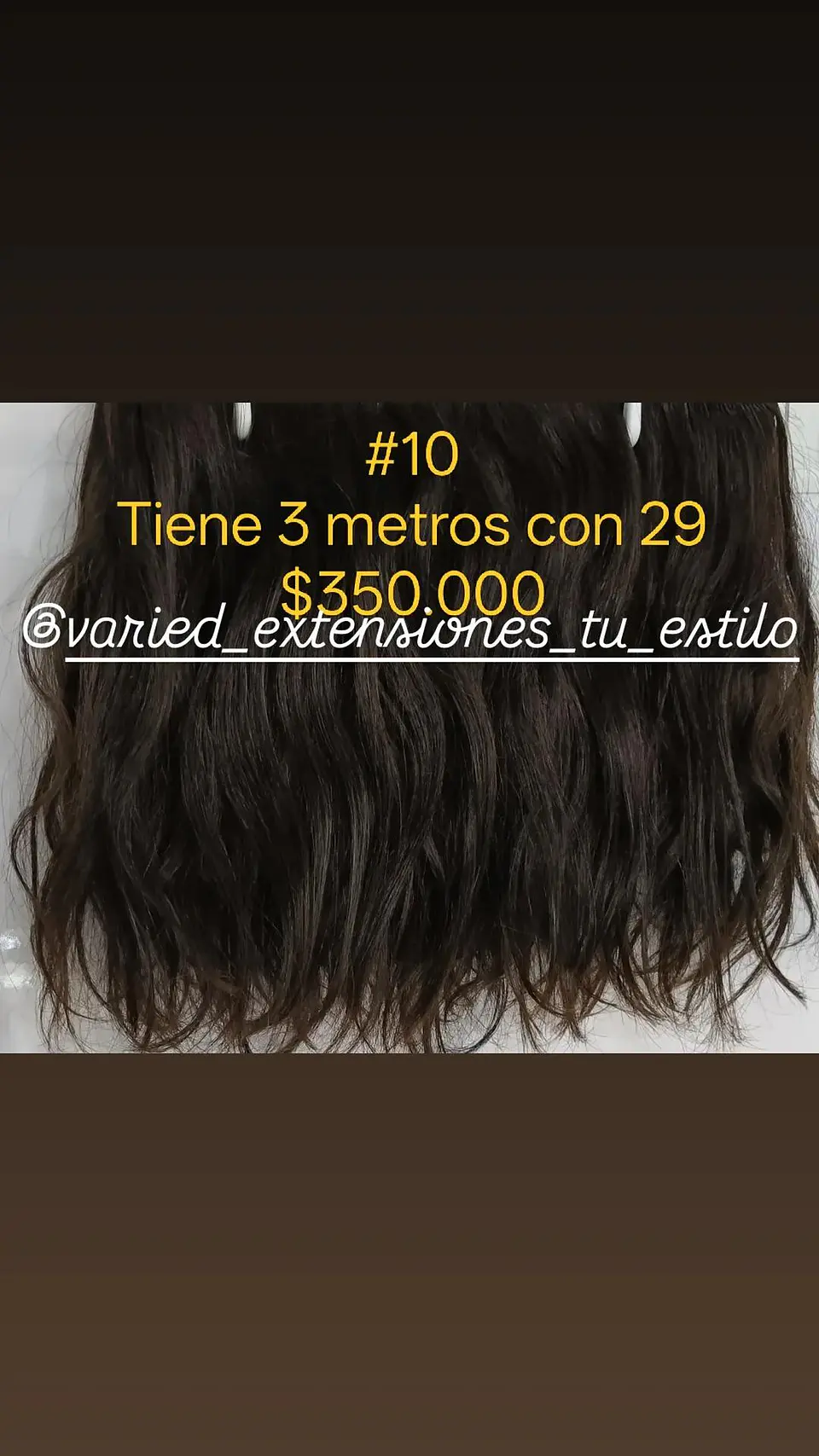 Extensión #10 1