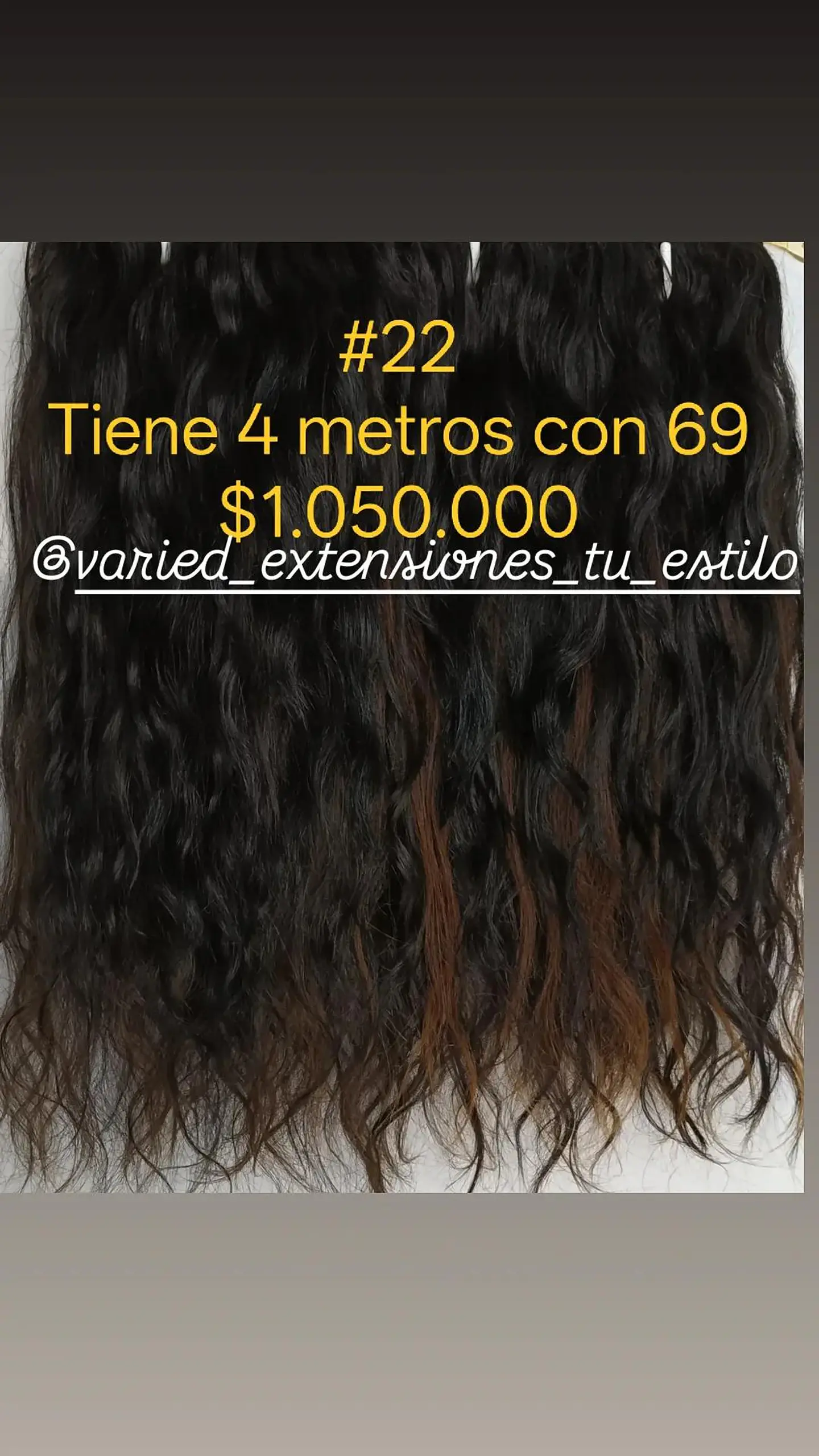 Extensión #22 1