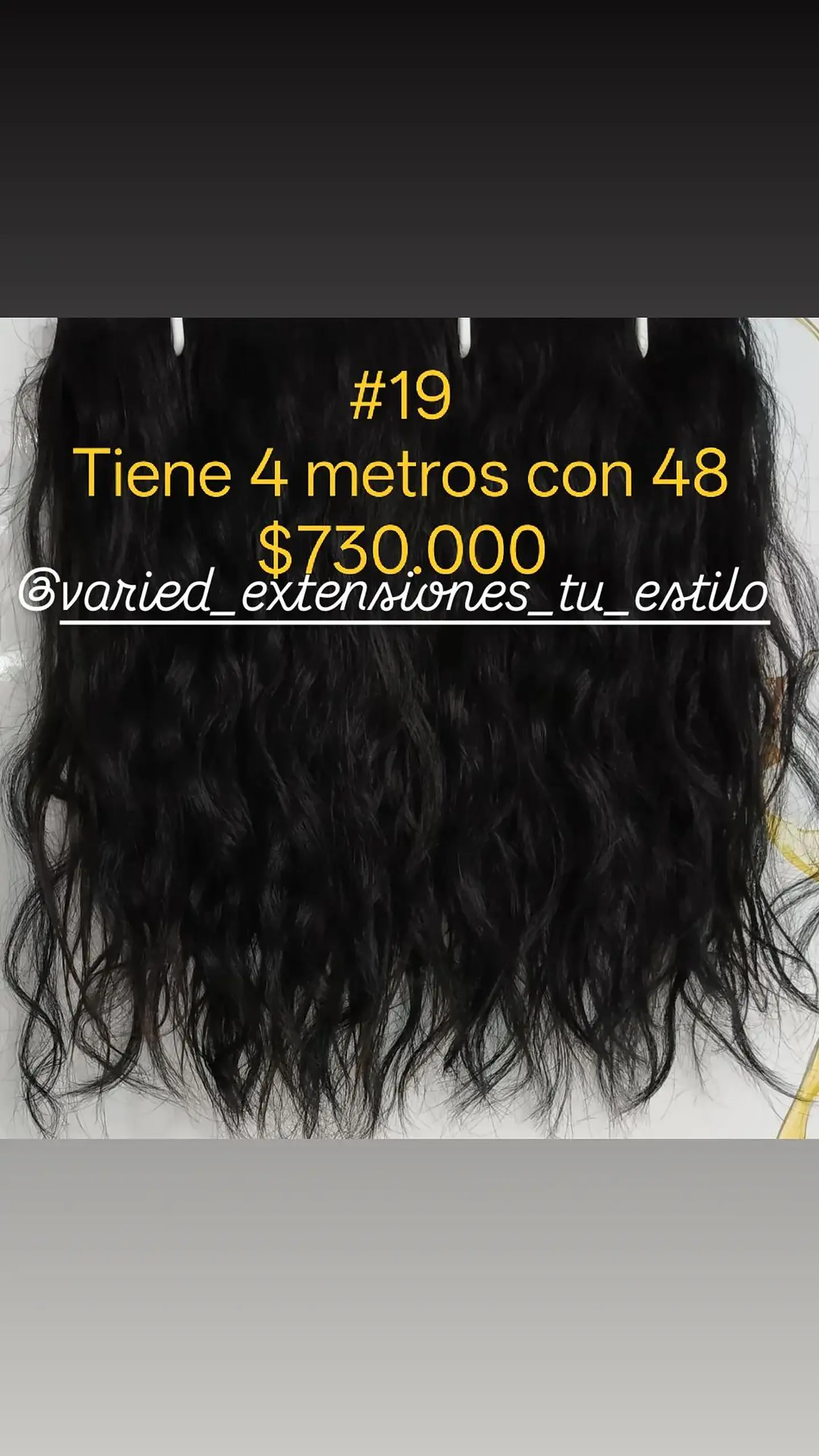 Extensión #19 1