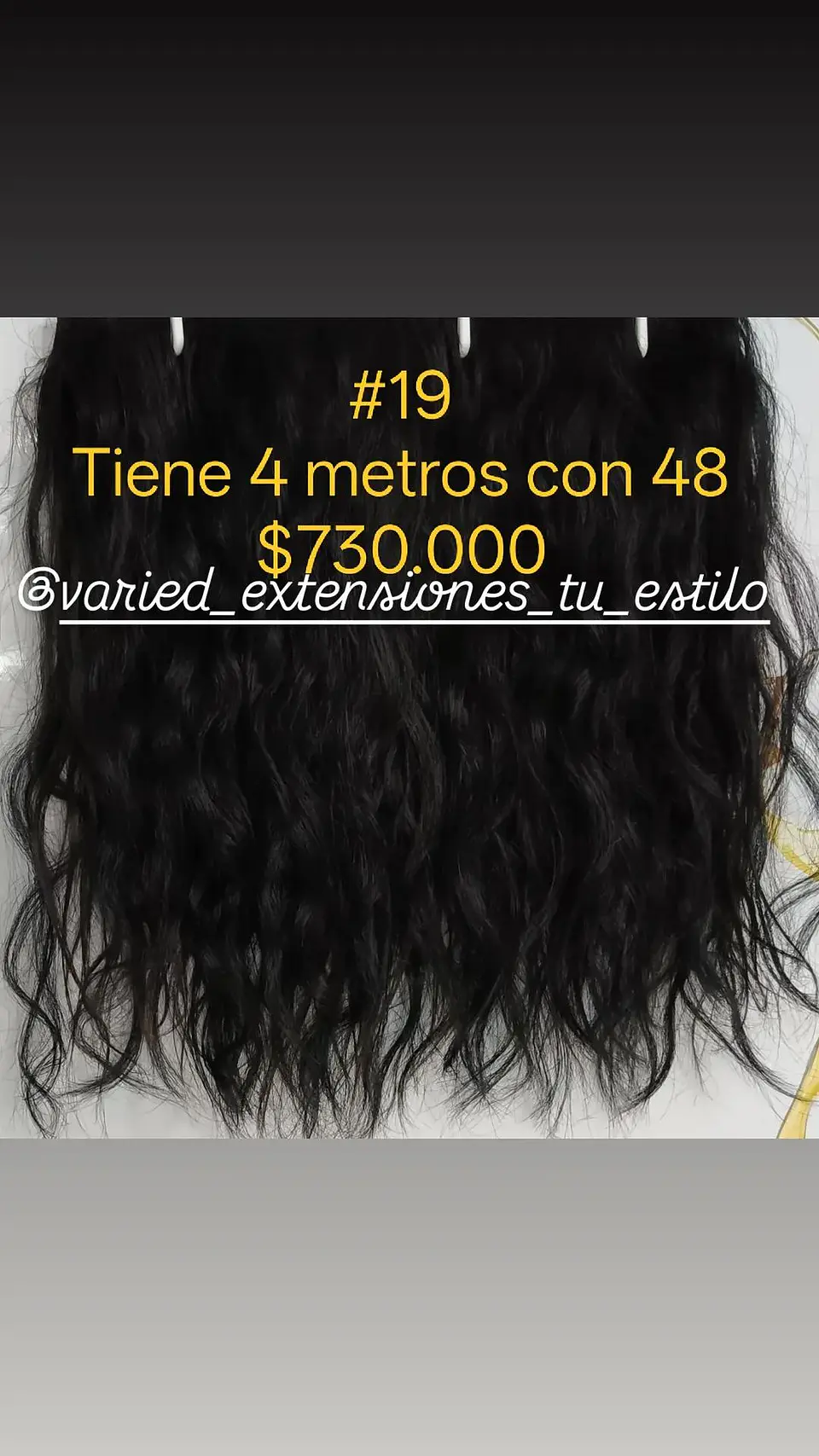 Extensión #19 1