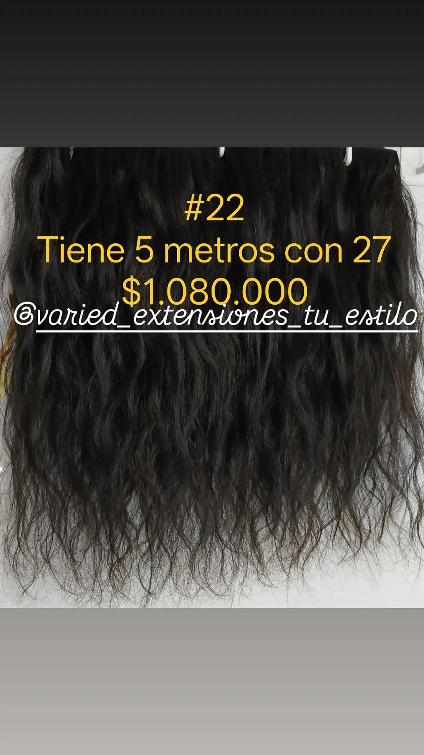 Extensión #22 1