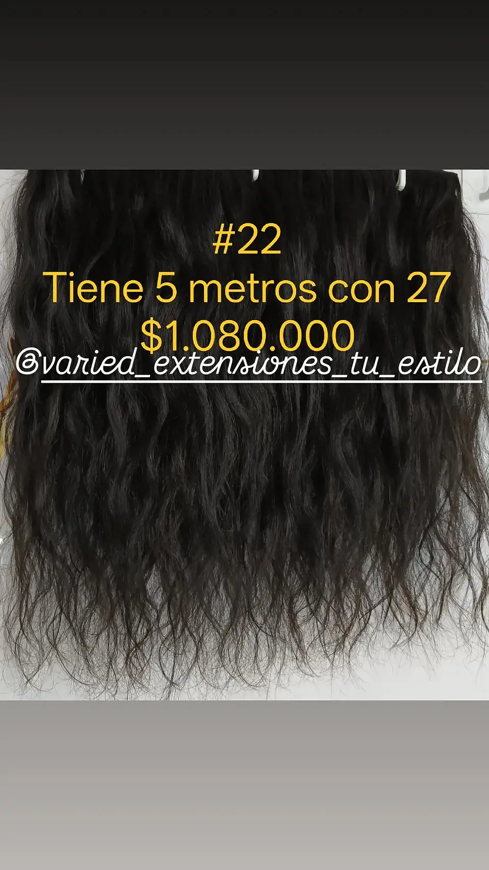 Extensión #22 1