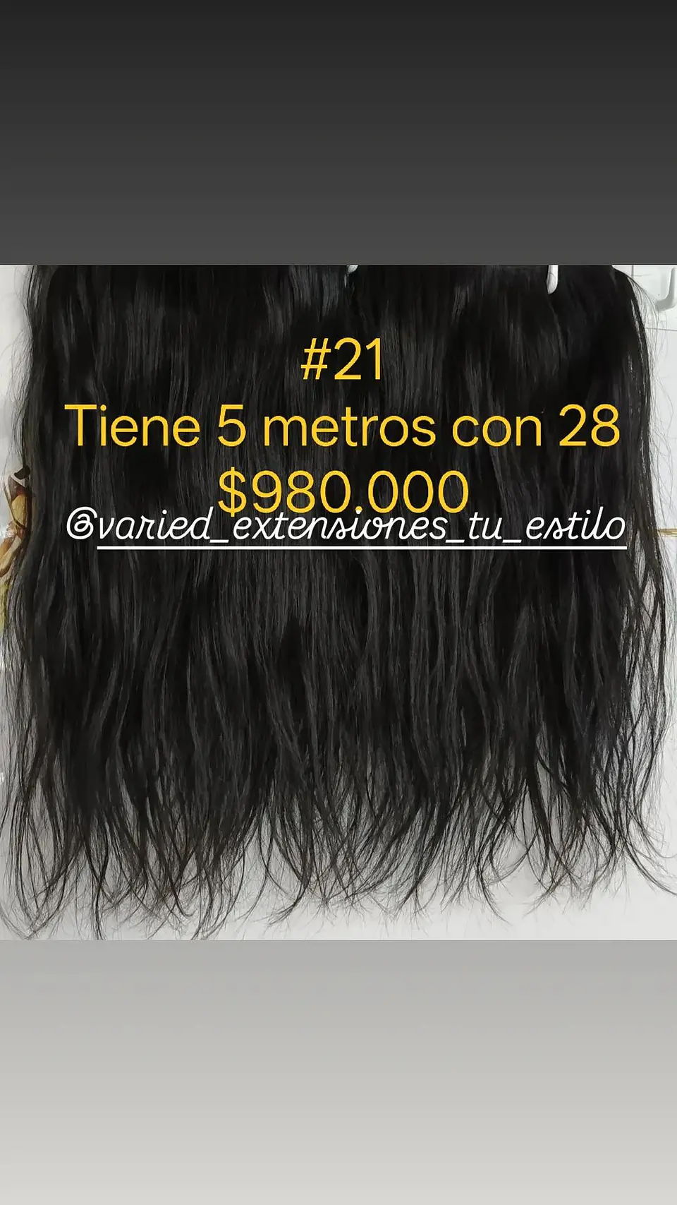 Extensión #21 1