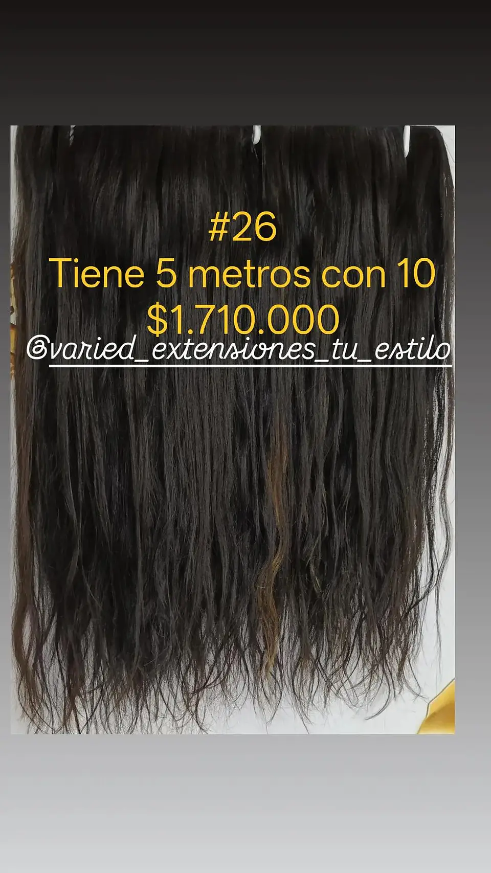 Extensión #26 1