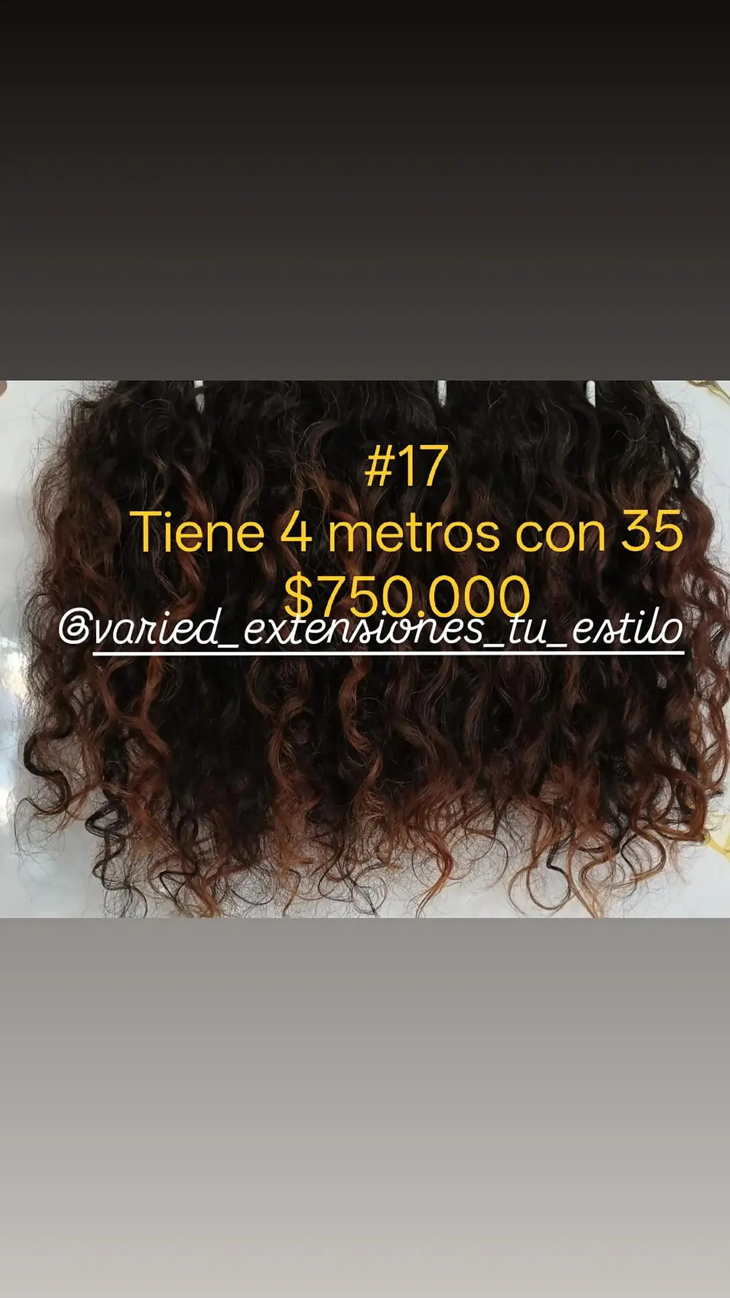 Extensión #17 1