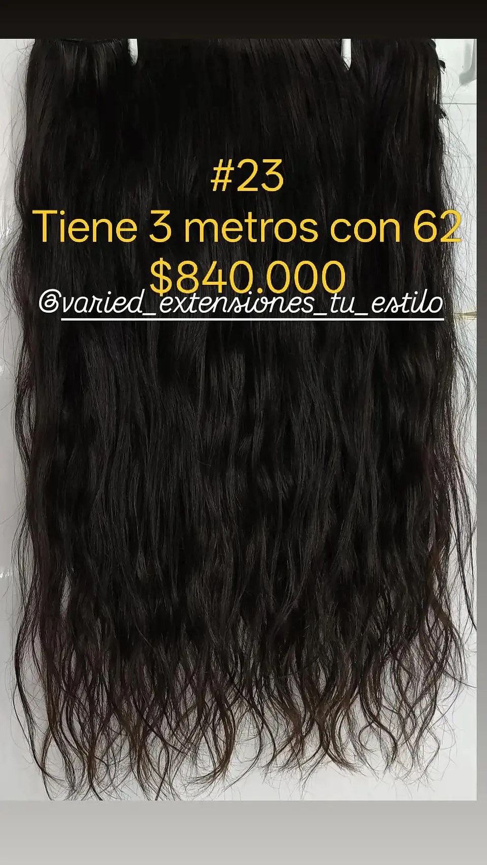 Extensión #23 1