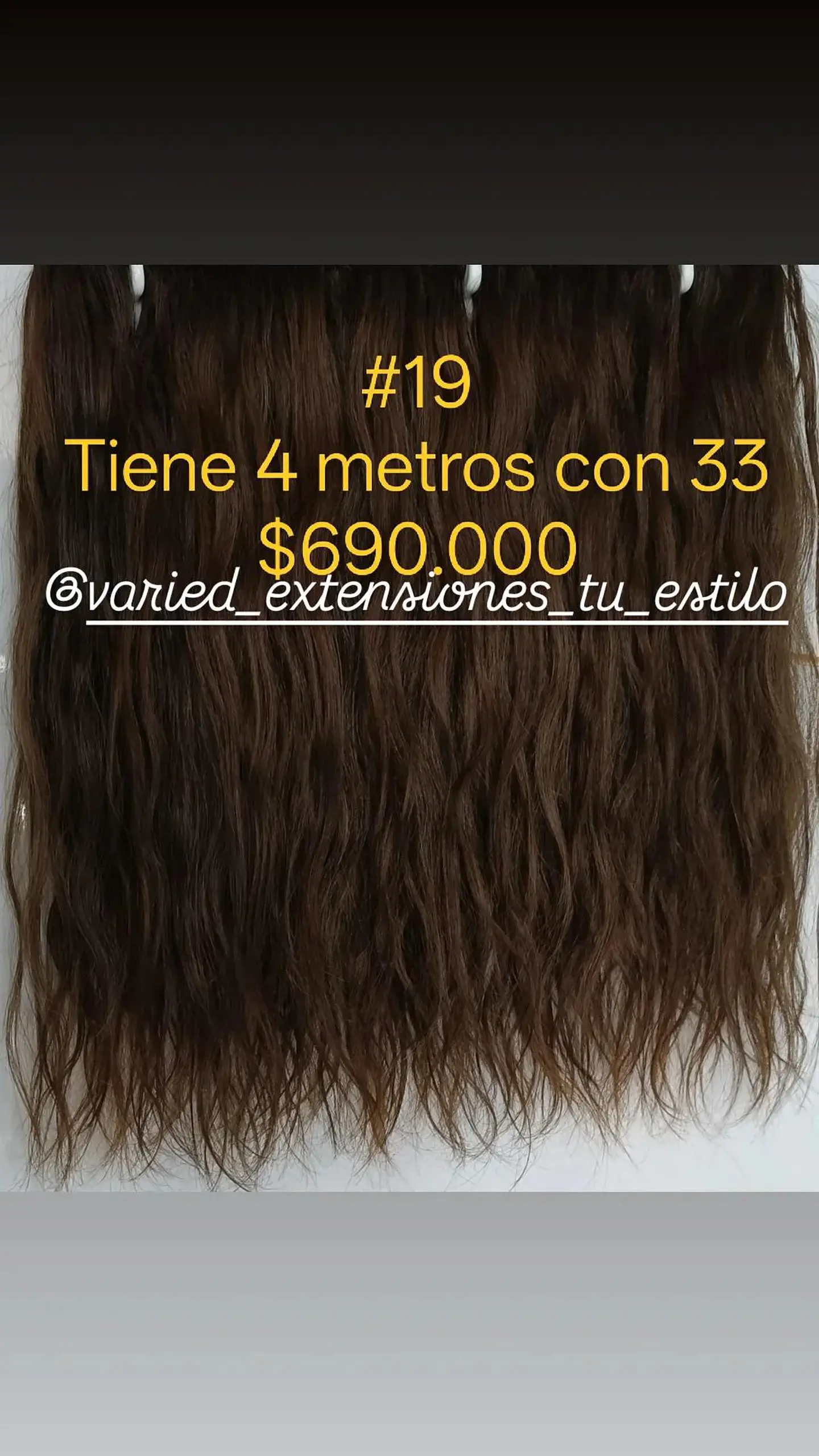Extensión #19 1
