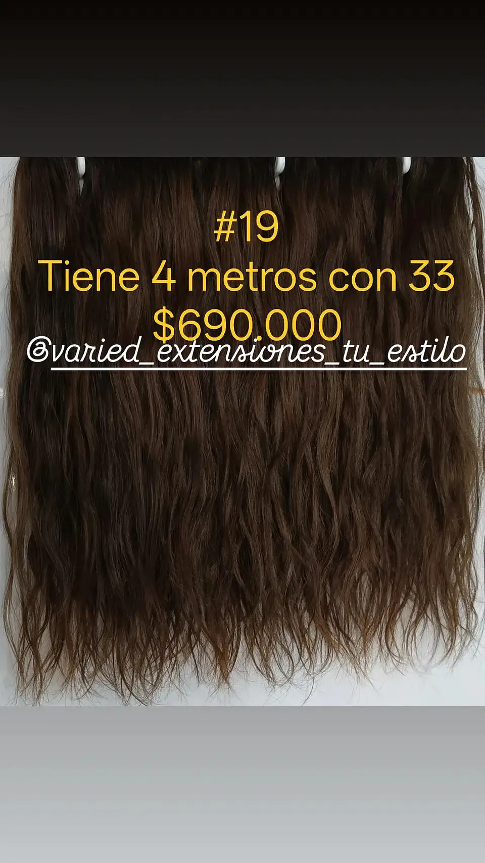 Extensión #19 1