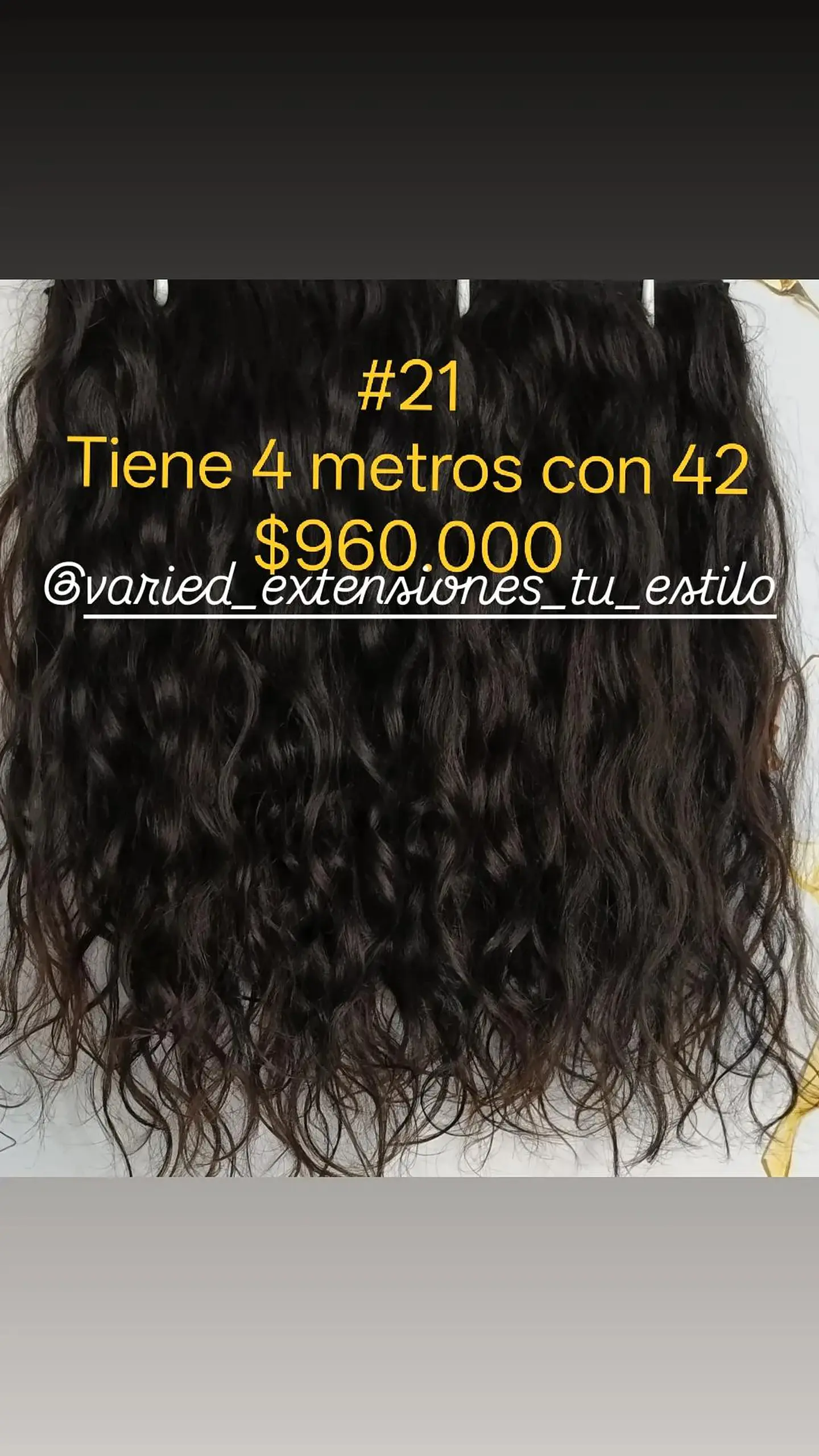 Extensión #21 1