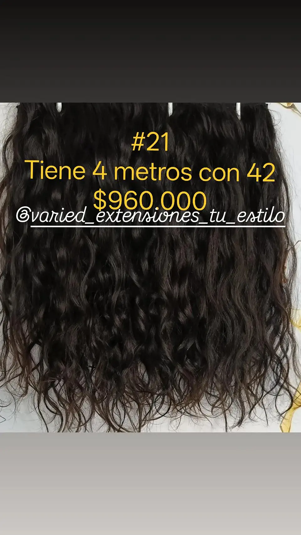 Extensión #21 1