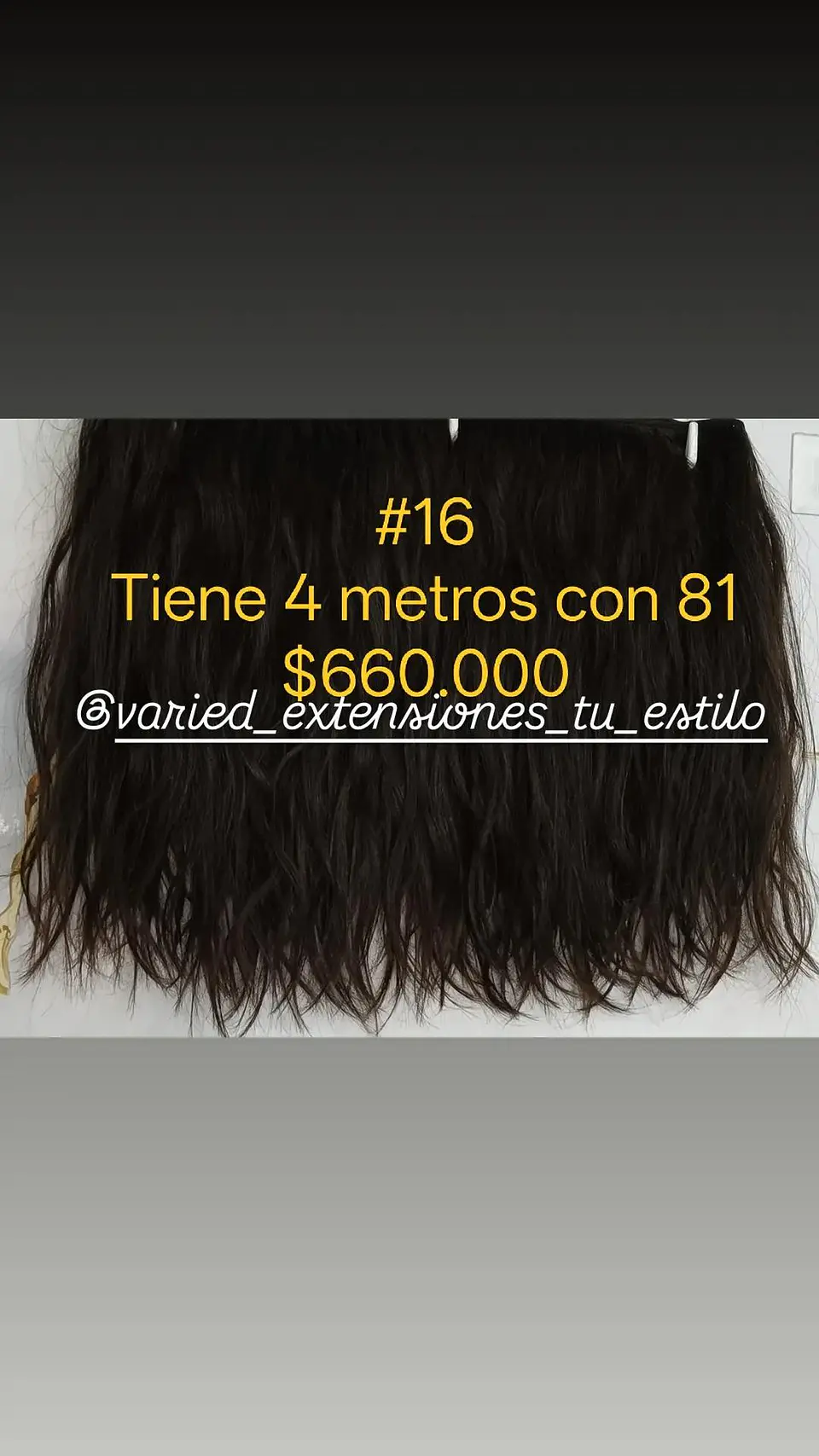 Extensión #16 1