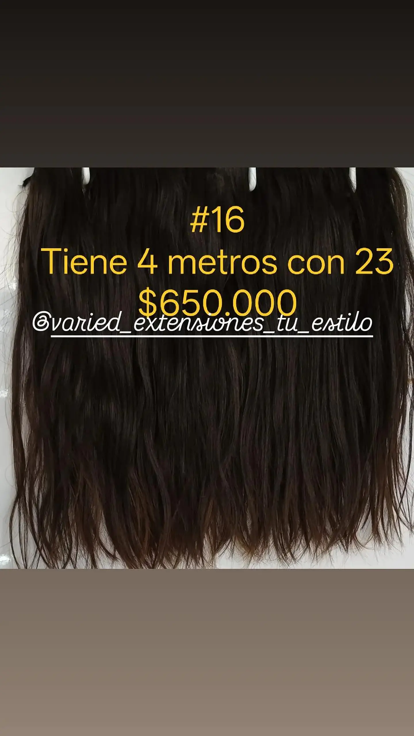 Extensión #16 1