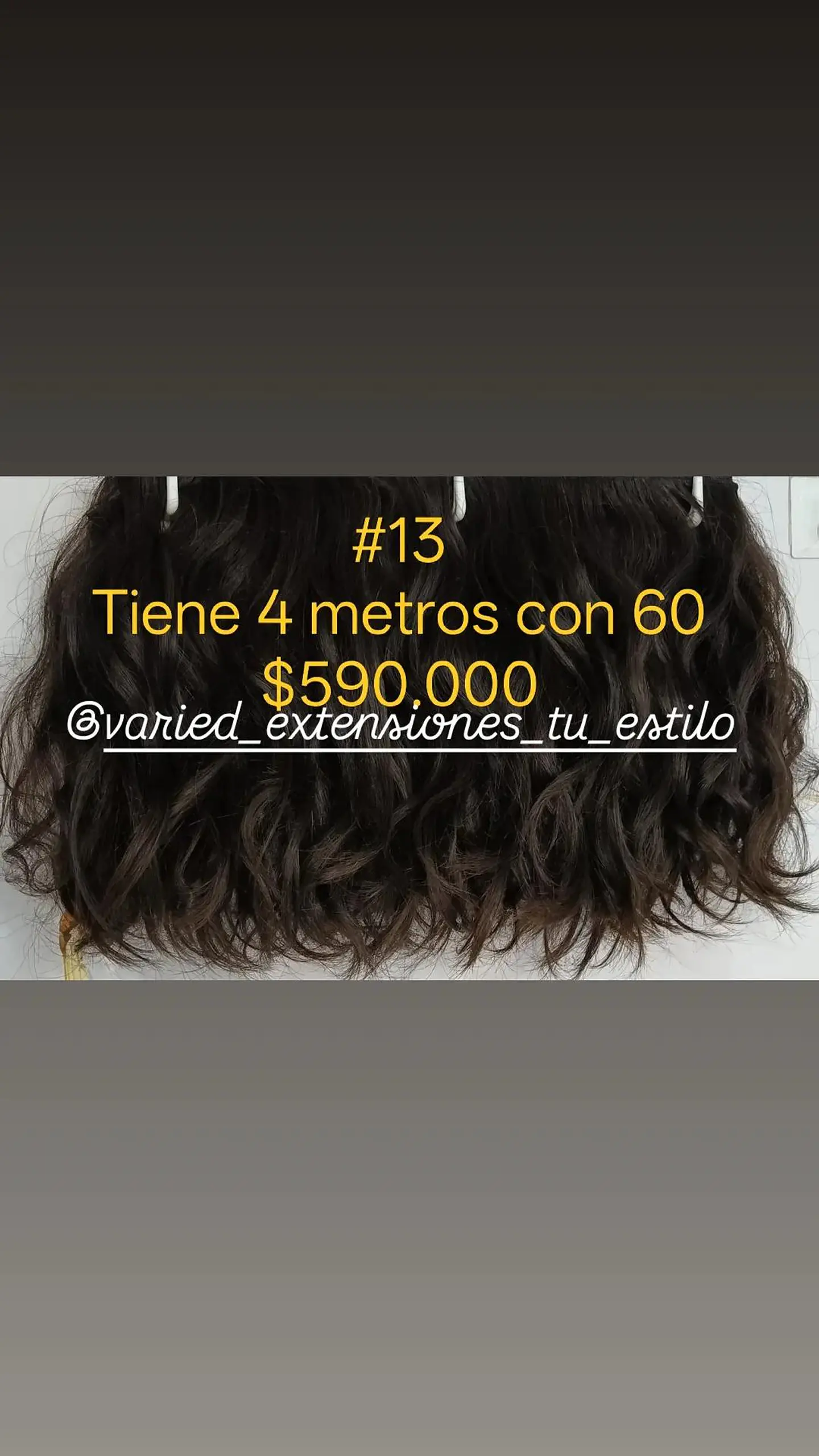 Extensión #13 1