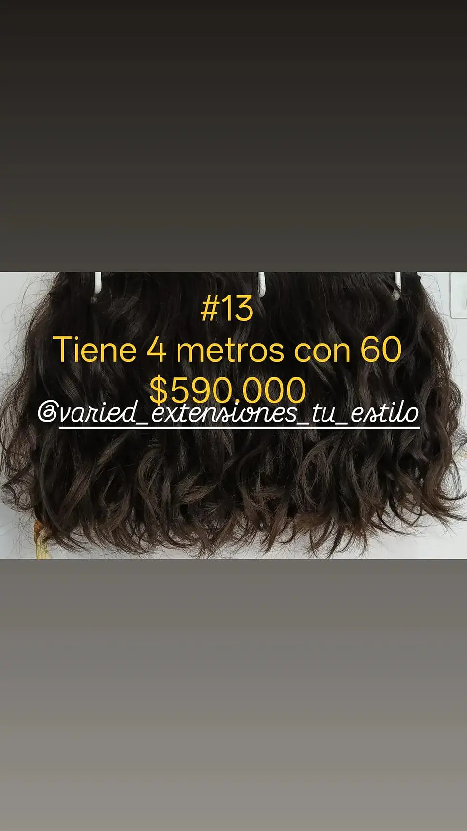 Extensión #13 1