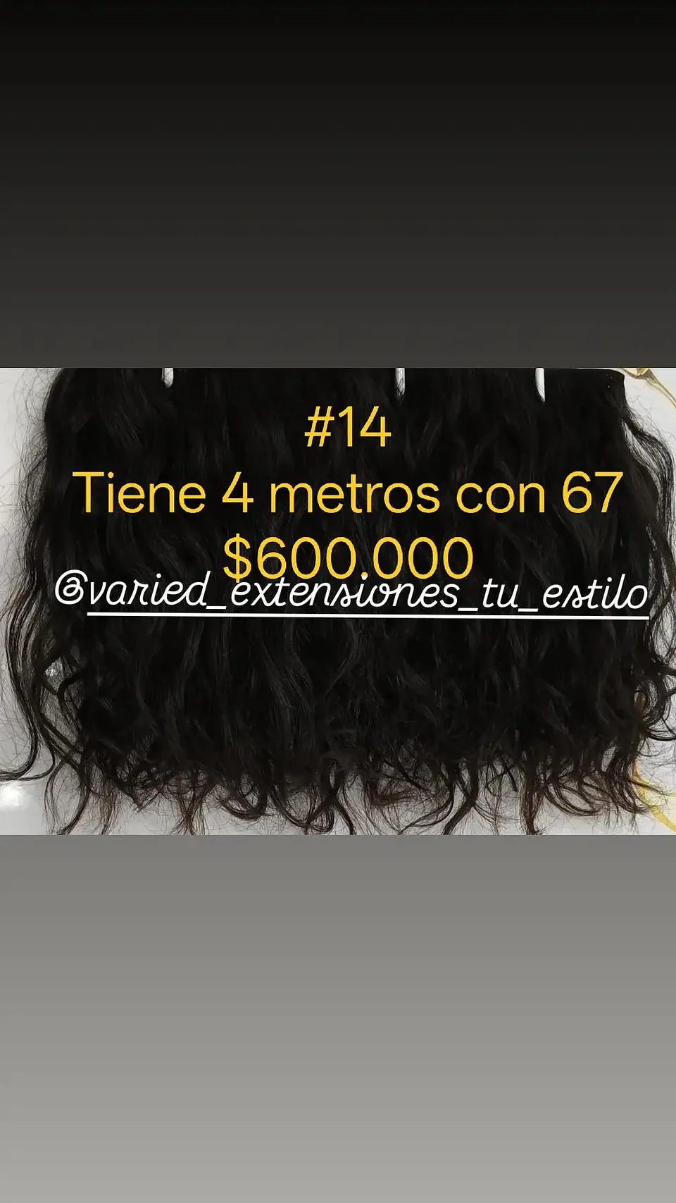 Extensión #14 1