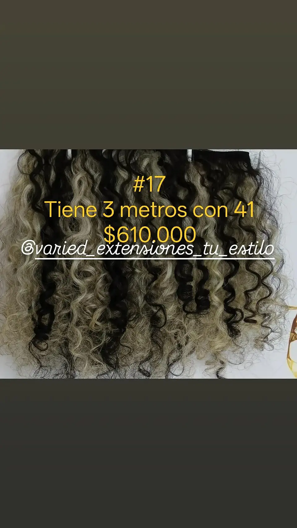 Extensión #17 1
