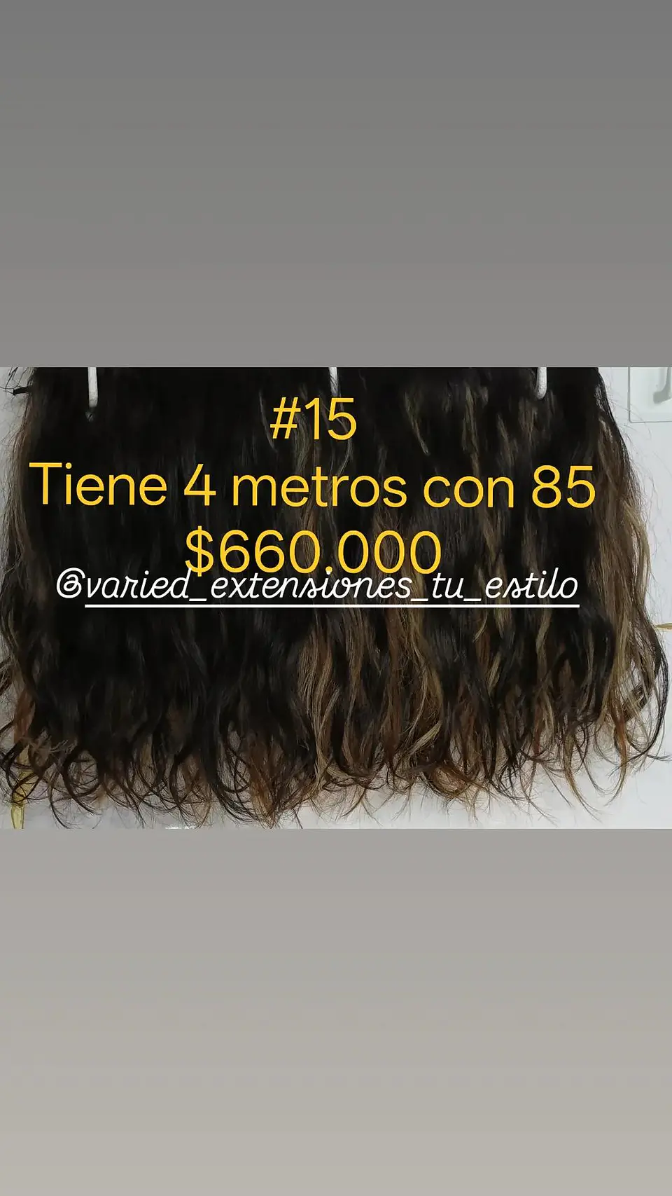 Extensión #15 1