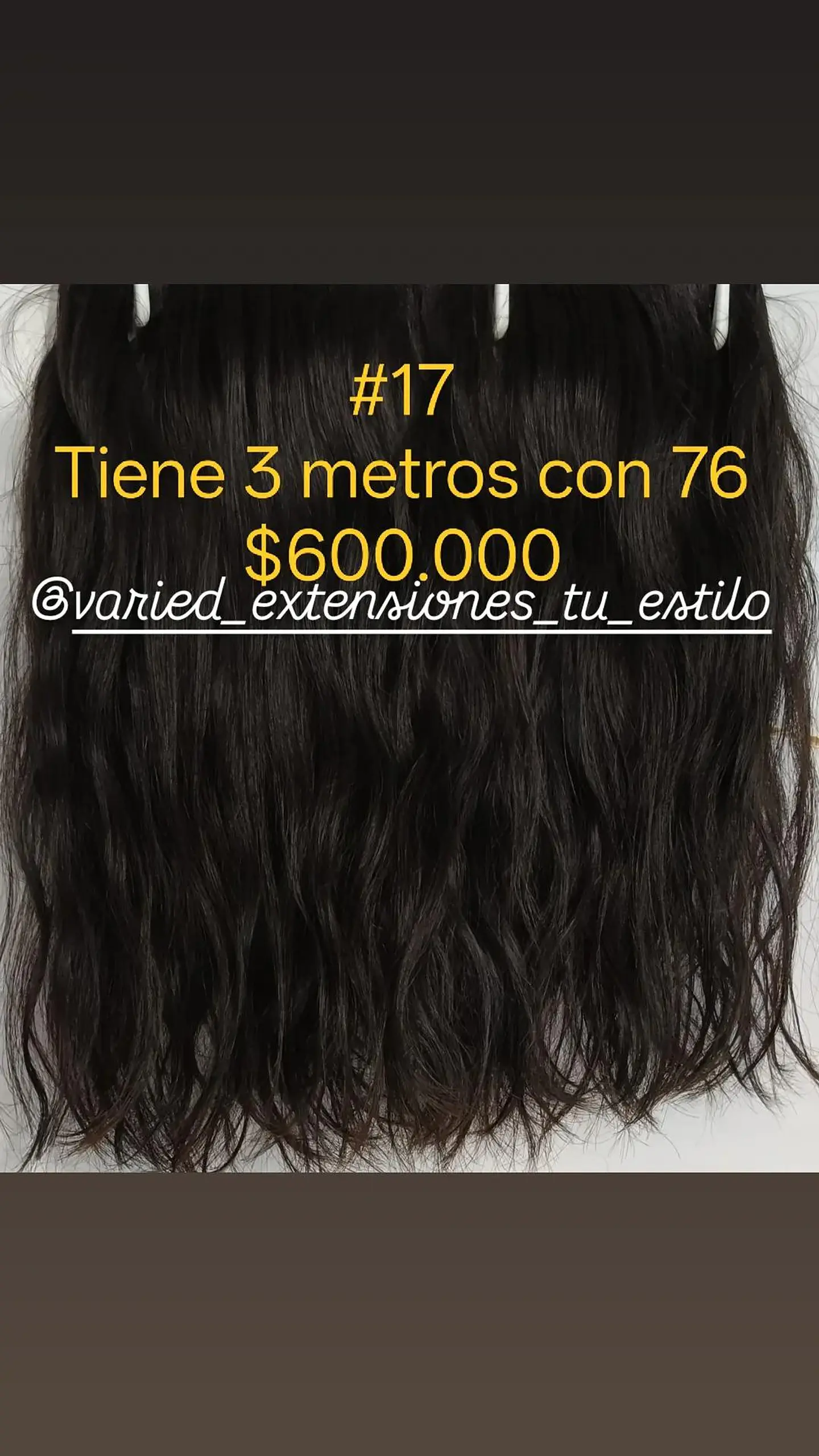 Extensión #17 1
