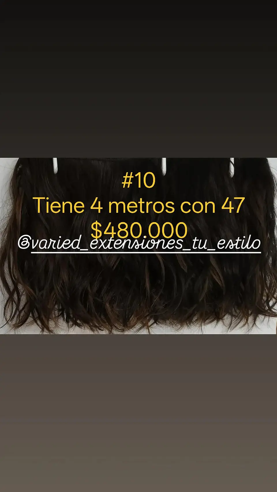 Extensión #10 1