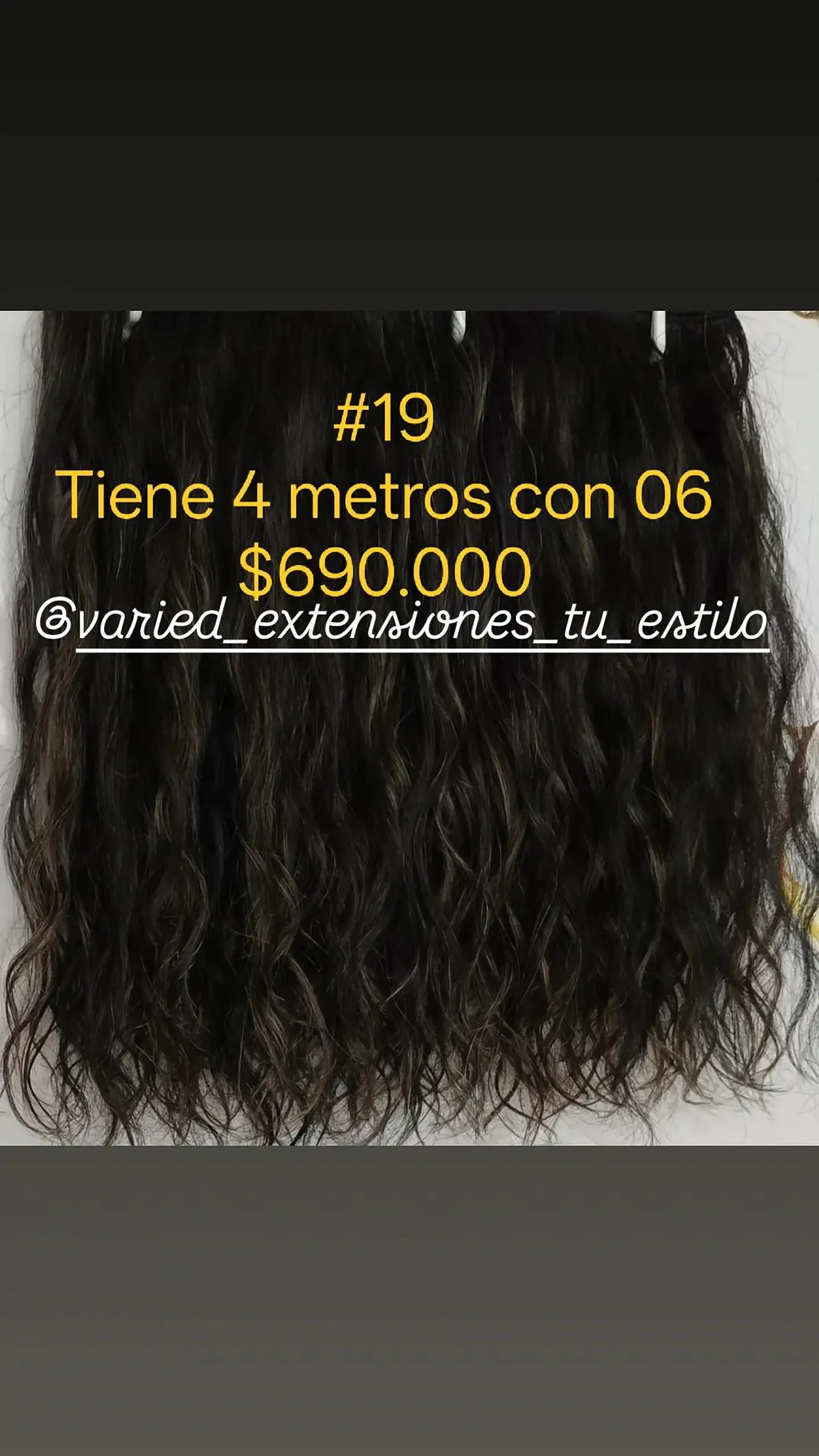 Extensión #19 1