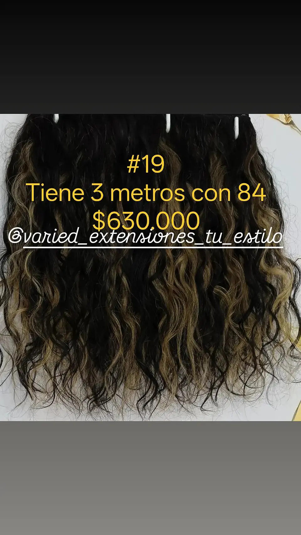 Extensión #19 1