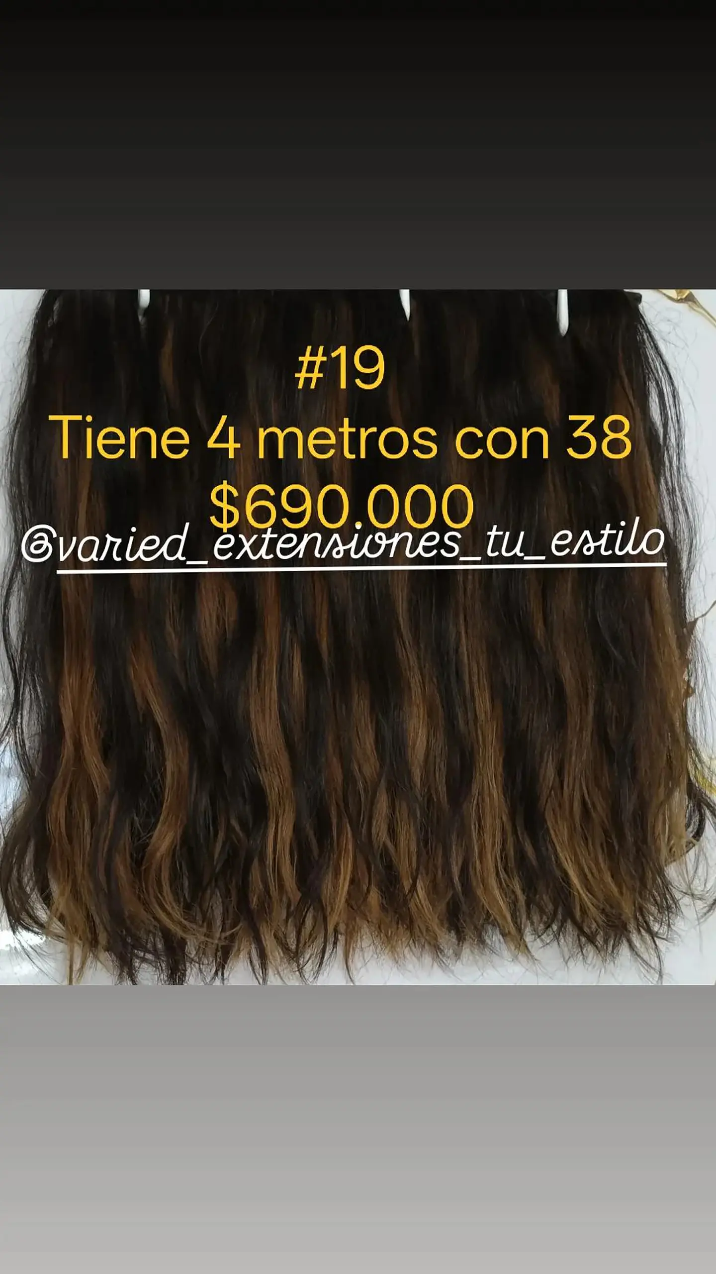 Extensión #19 1