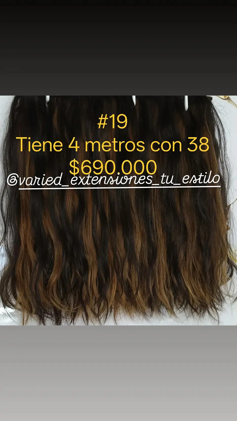 Extensión #19 1