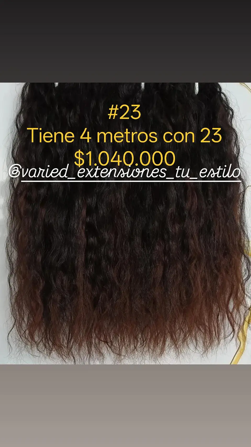Extensión #23 1