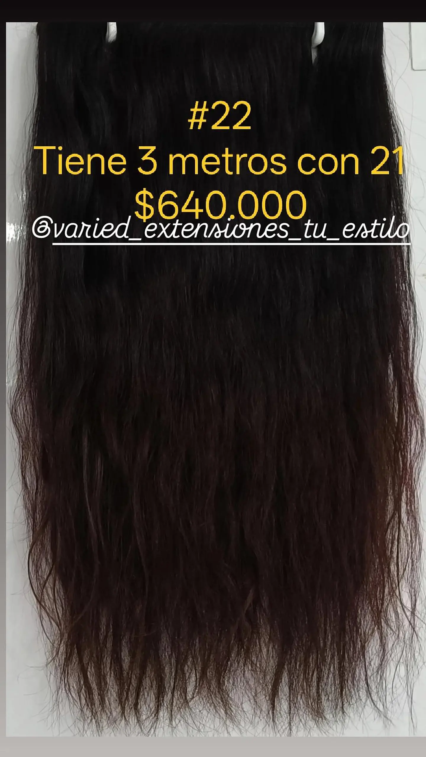 Extensión #22 1