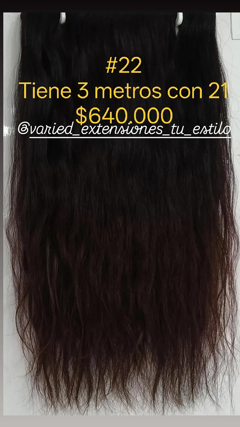 Extensión #22 1